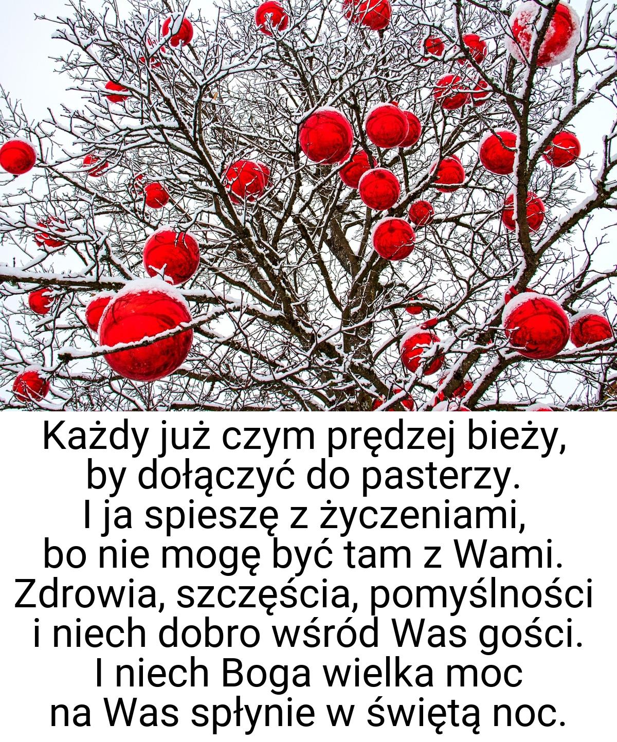 Każdy już czym prędzej bieży, by dołączyć do pasterzy. I ja