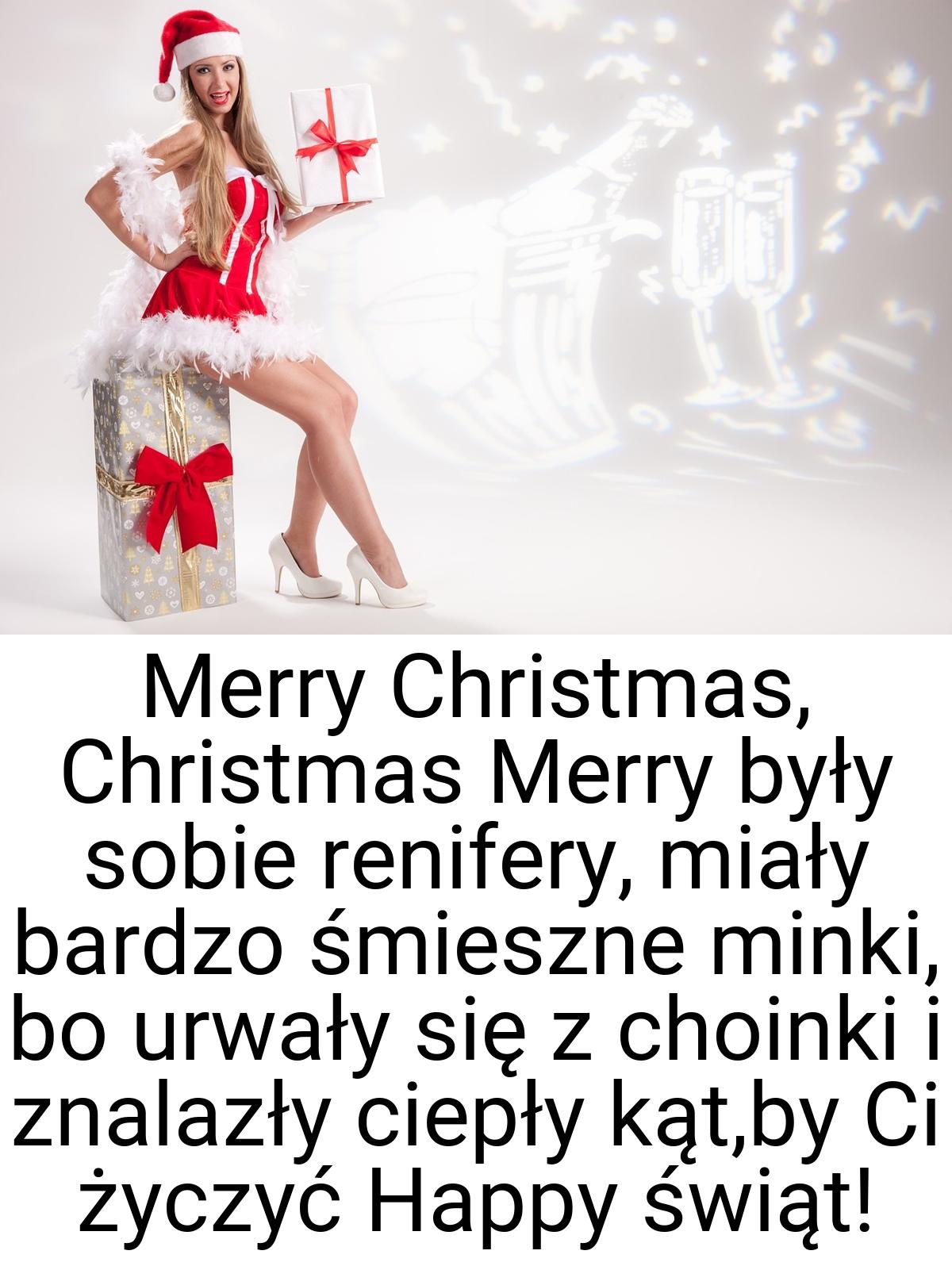 Merry Christmas, Christmas Merry były sobie renifery, miały