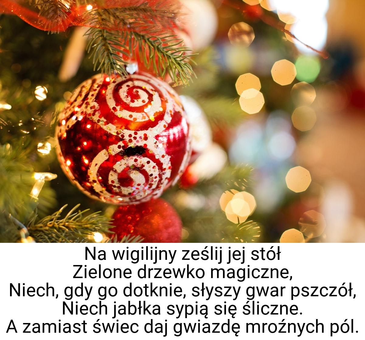 Na wigilijny ześlij jej stół Zielone drzewko magiczne