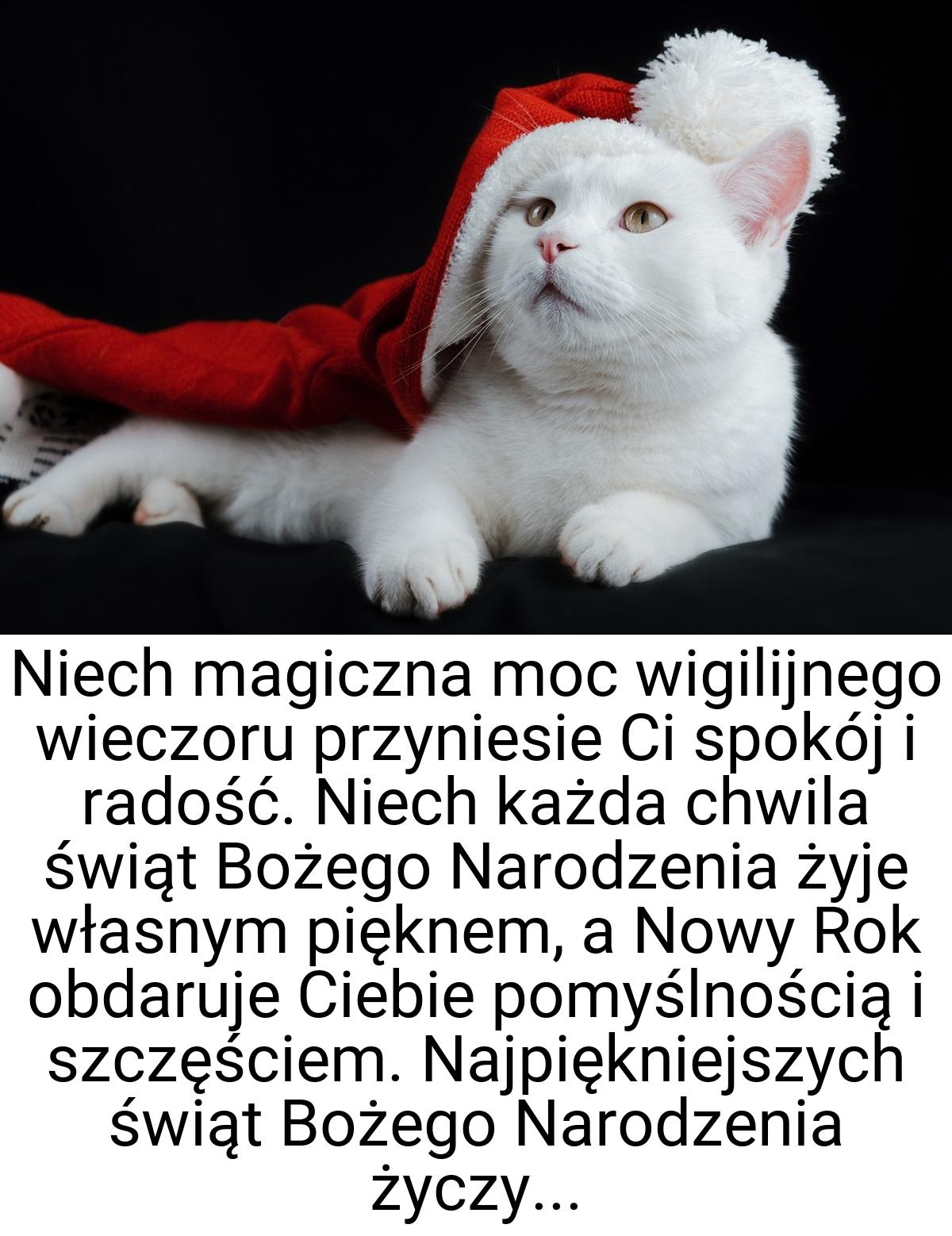 Niech magiczna moc wigilijnego wieczoru przyniesie Ci