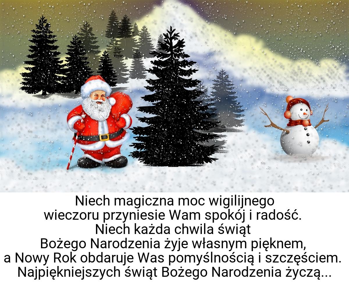 Niech magiczna moc wigilijnego wieczoru przyniesie Wam