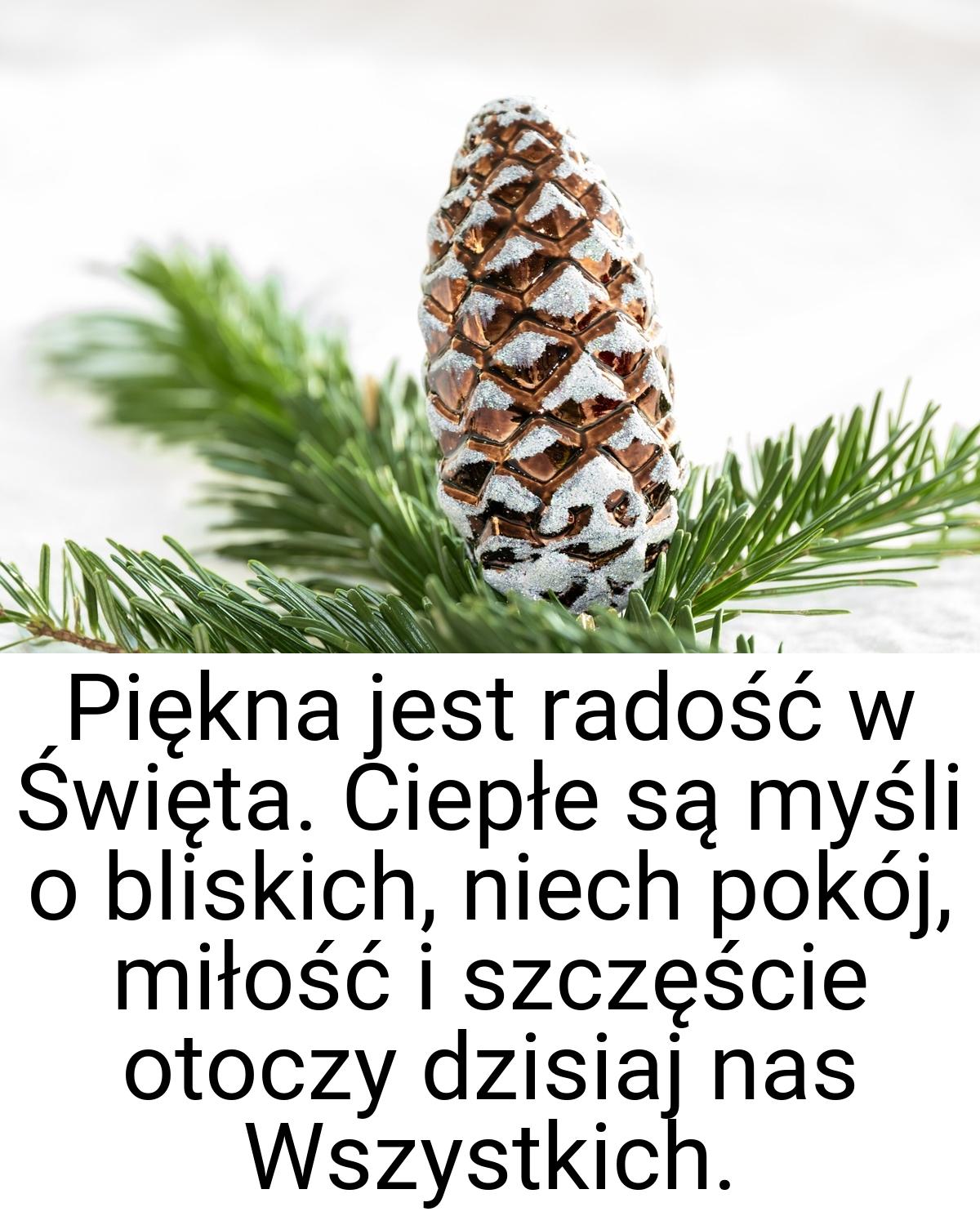 Piękna jest radość w Święta. Ciepłe są myśli o bliskich