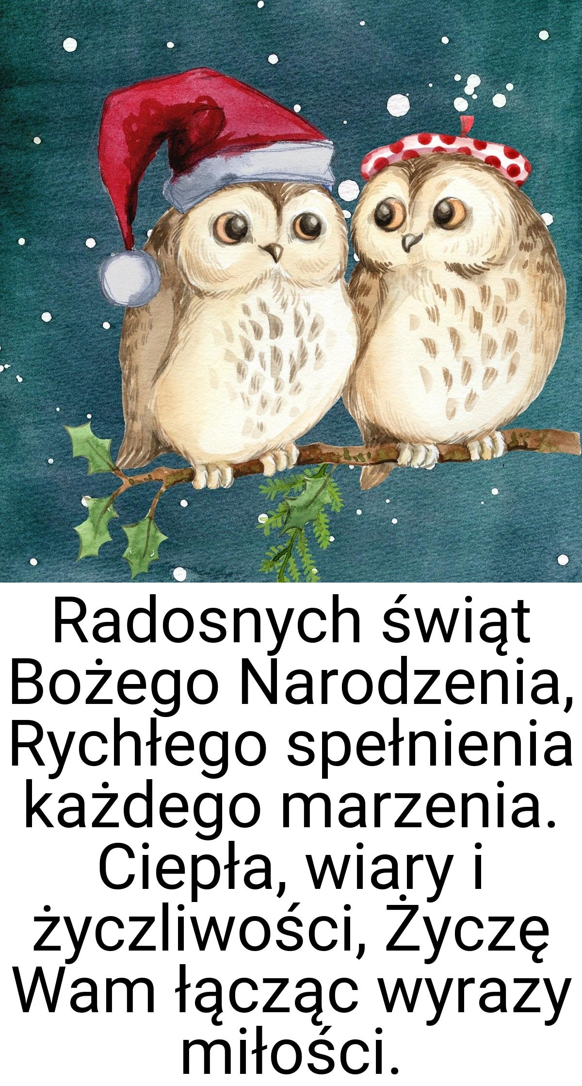 Radosnych świąt Bożego Narodzenia, Rychłego spełnienia