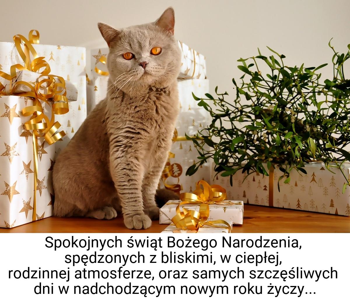 Spokojnych świąt Bożego Narodzenia, spędzonych z bliskimi