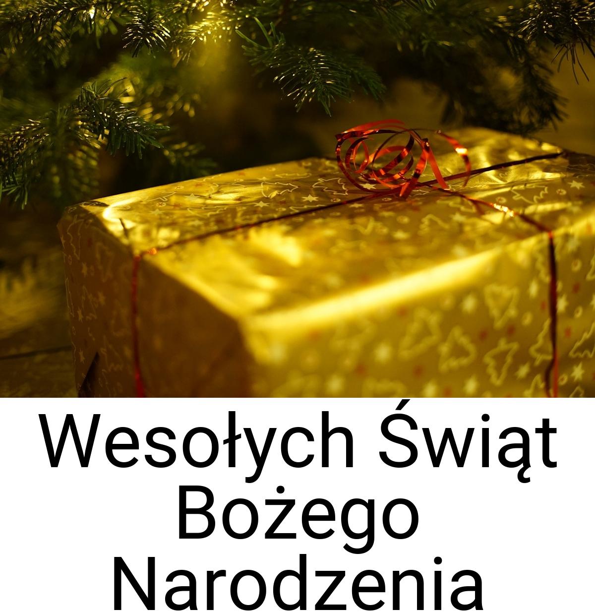 Wesołych Świąt Bożego Narodzenia