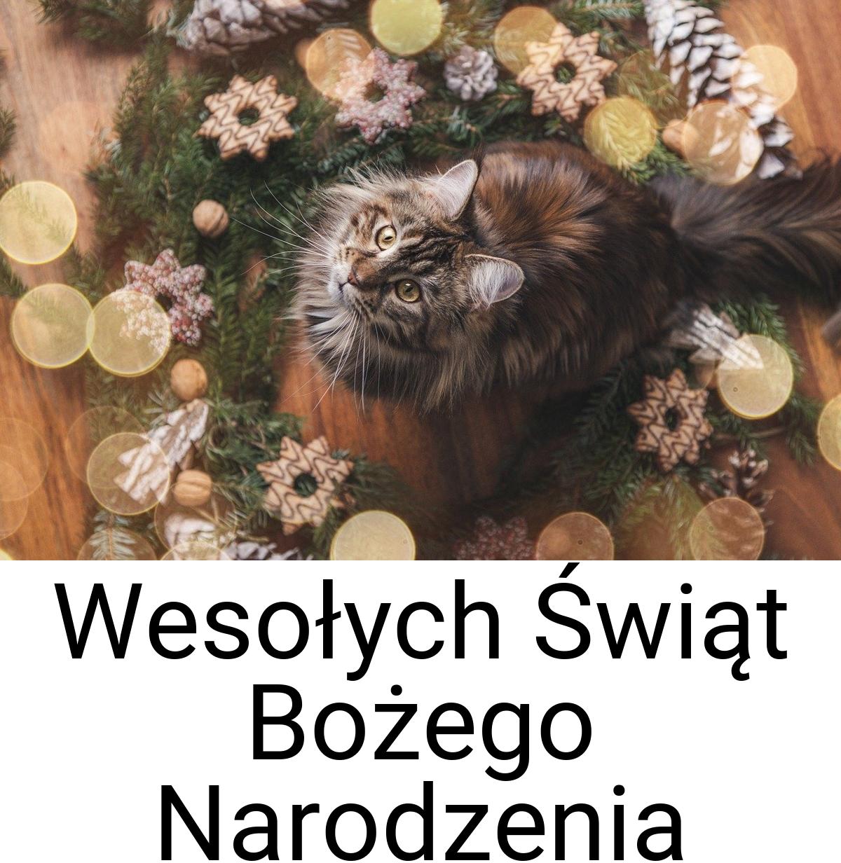 Wesołych Świąt Bożego Narodzenia