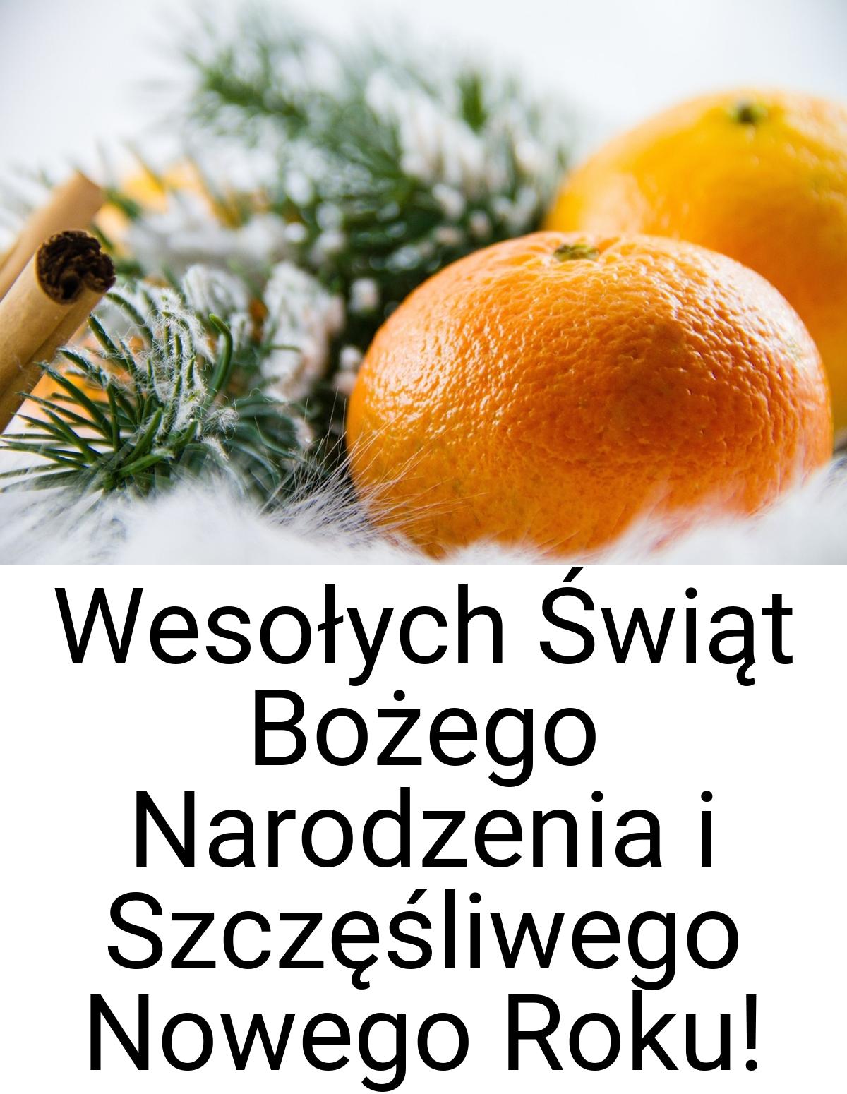 Wesołych Świąt Bożego Narodzenia i Szczęśliwego Nowego Roku