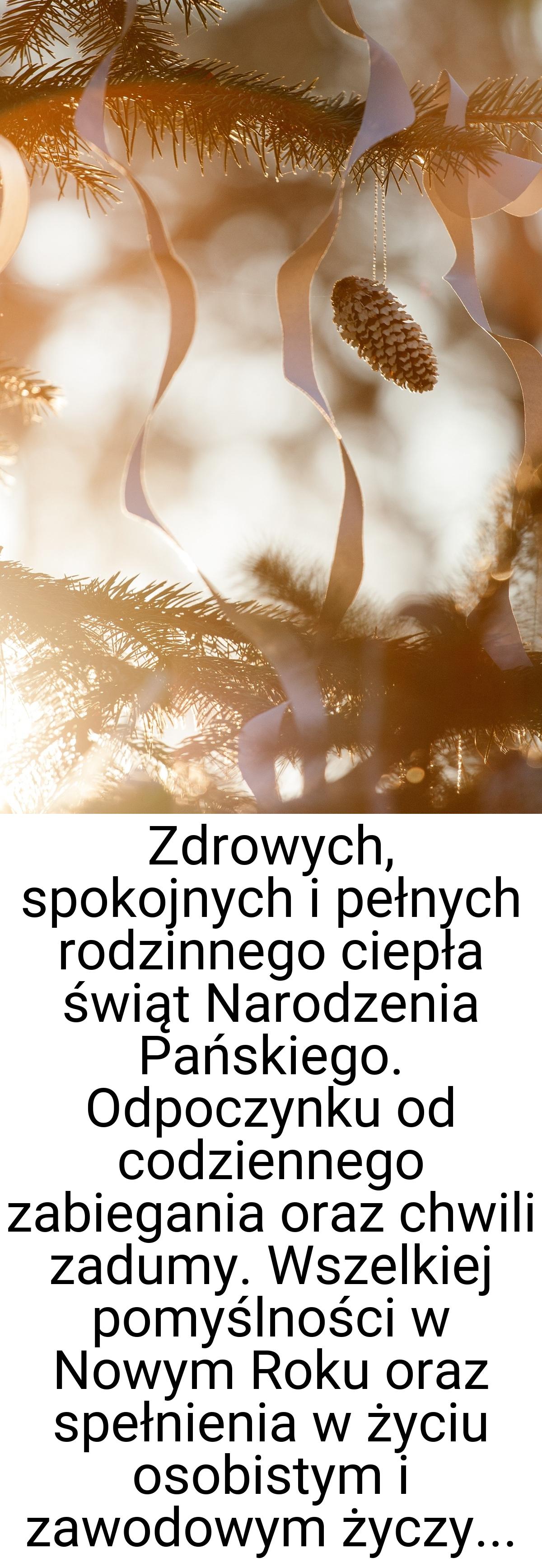 Zdrowych, spokojnych i pełnych rodzinnego ciepła świąt