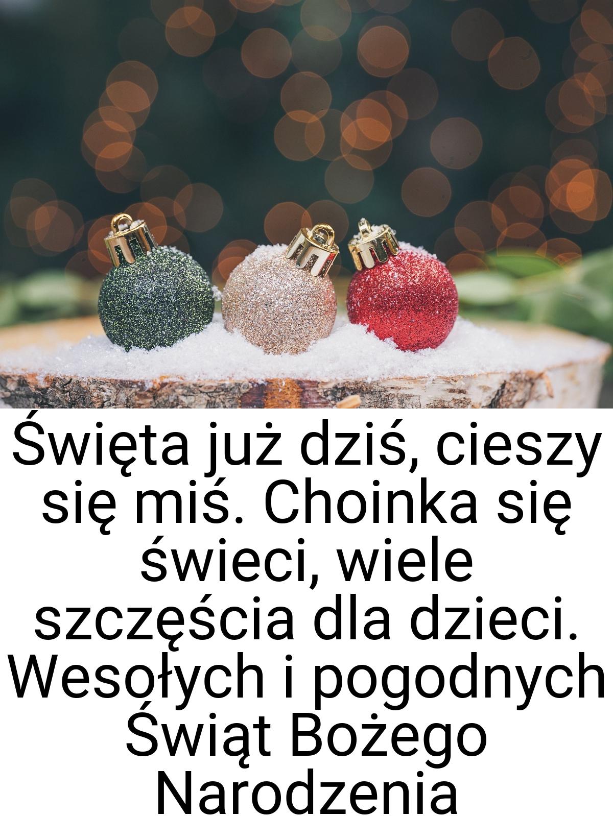 Święta już dziś, cieszy się miś. Choinka się świeci, wiele