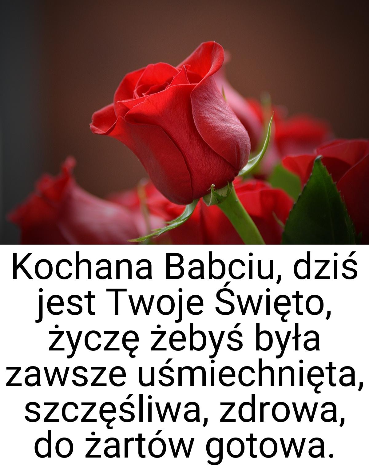 Kochana Babciu, dziś jest Twoje Święto, życzę żebyś była