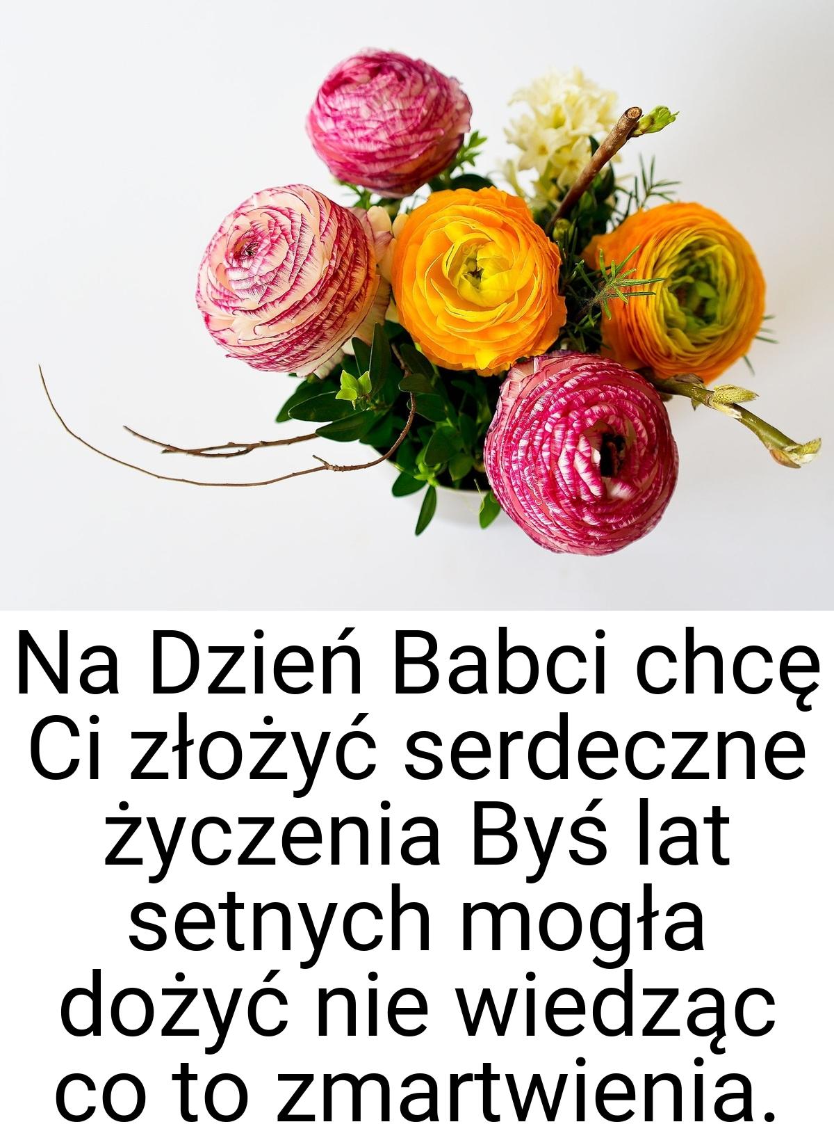 Na Dzień Babci chcę Ci złożyć serdeczne życzenia Byś lat