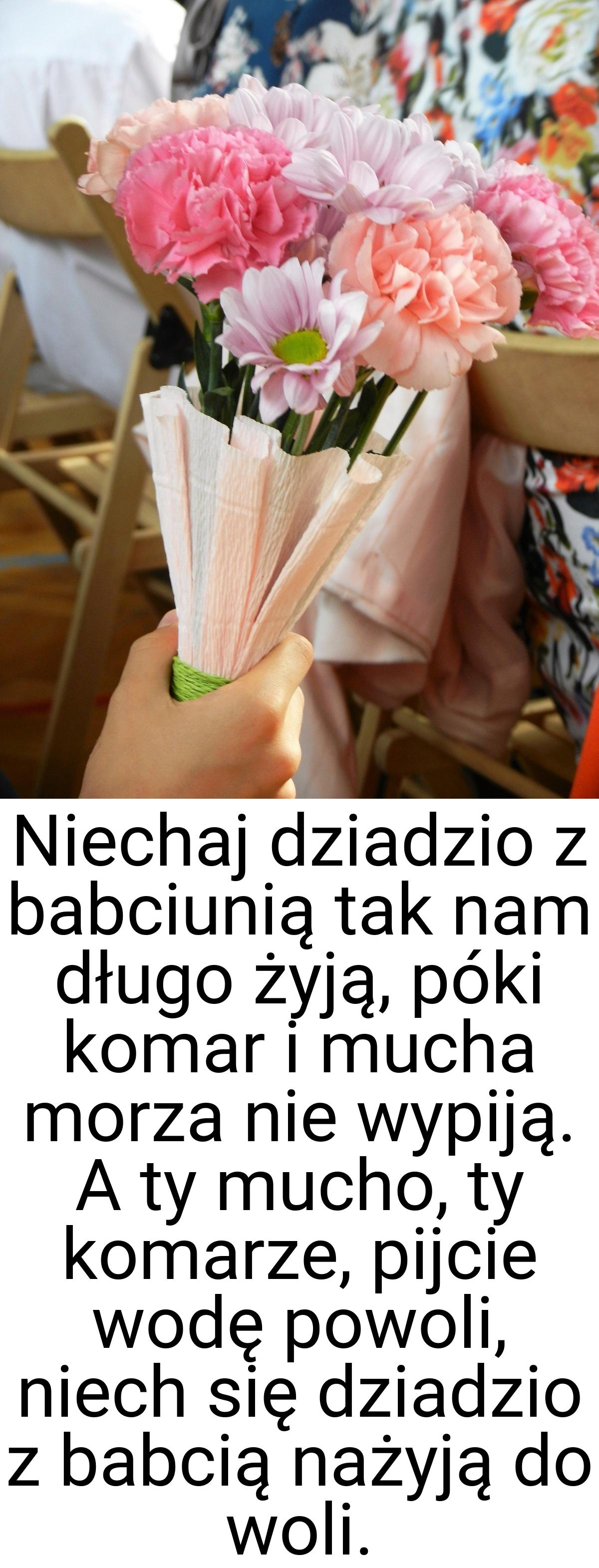 Niechaj dziadzio z babciunią tak nam długo żyją, póki komar