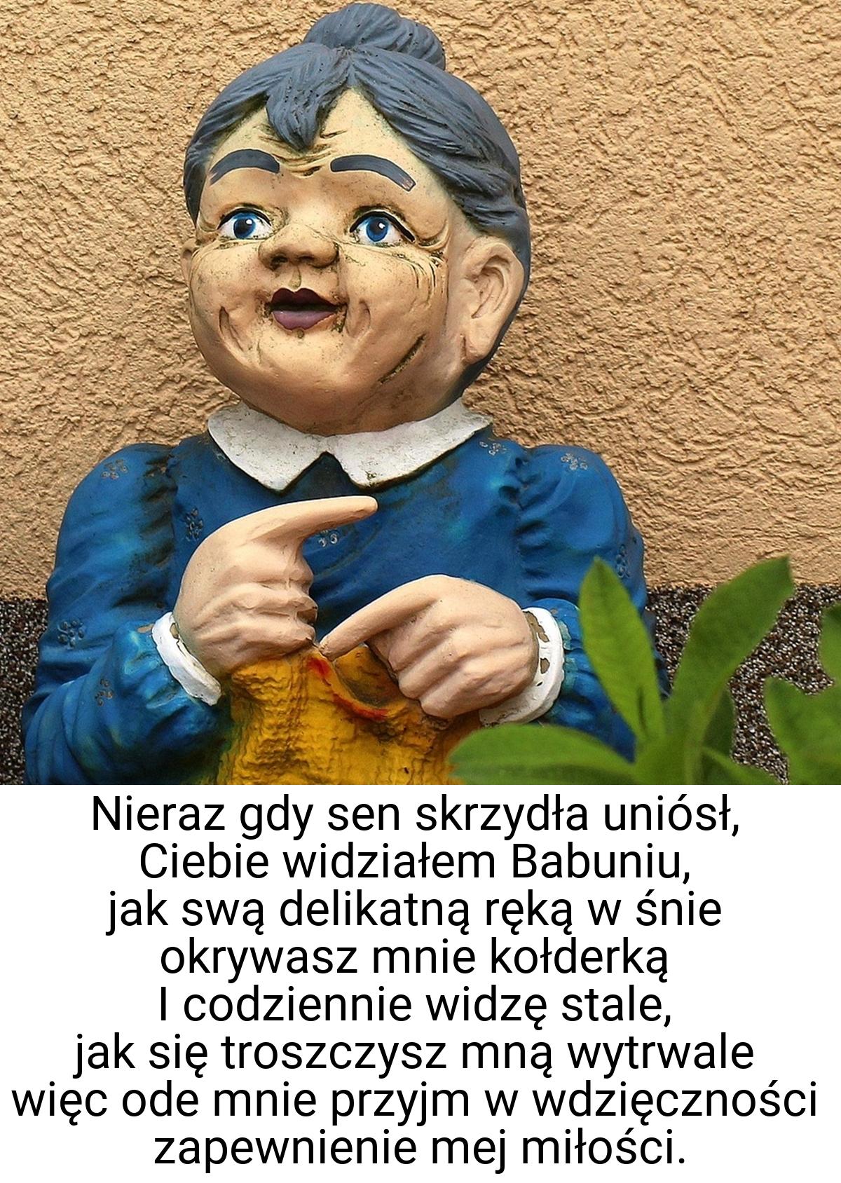 Nieraz gdy sen skrzydła uniósł, Ciebie widziałem Babuniu