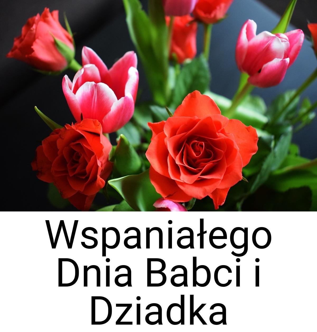 Wspaniałego Dnia Babci i Dziadka