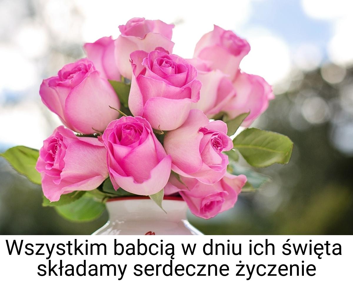 Wszystkim babcią w dniu ich święta składamy serdeczne