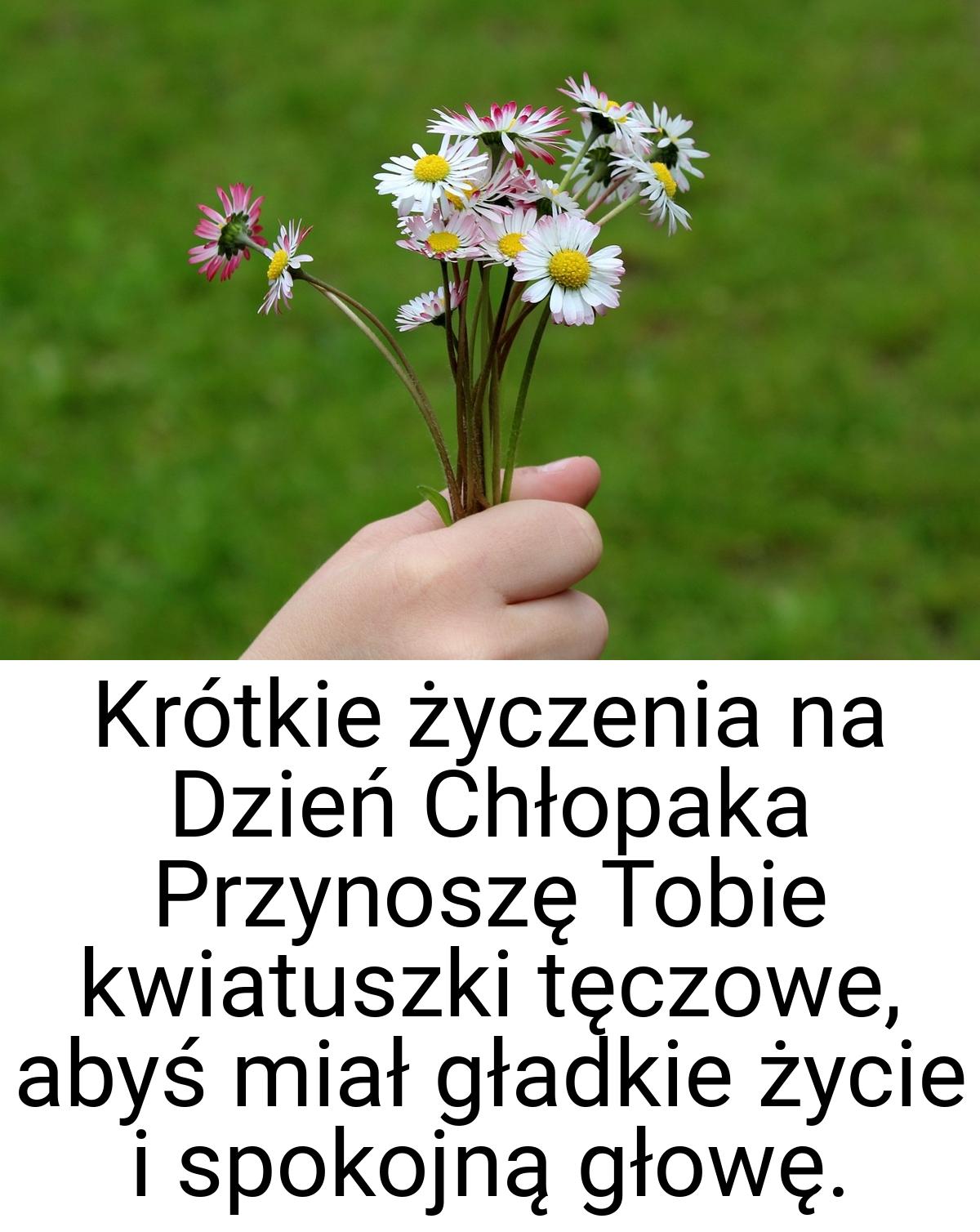 Krótkie życzenia na Dzień Chłopaka Przynoszę Tobie