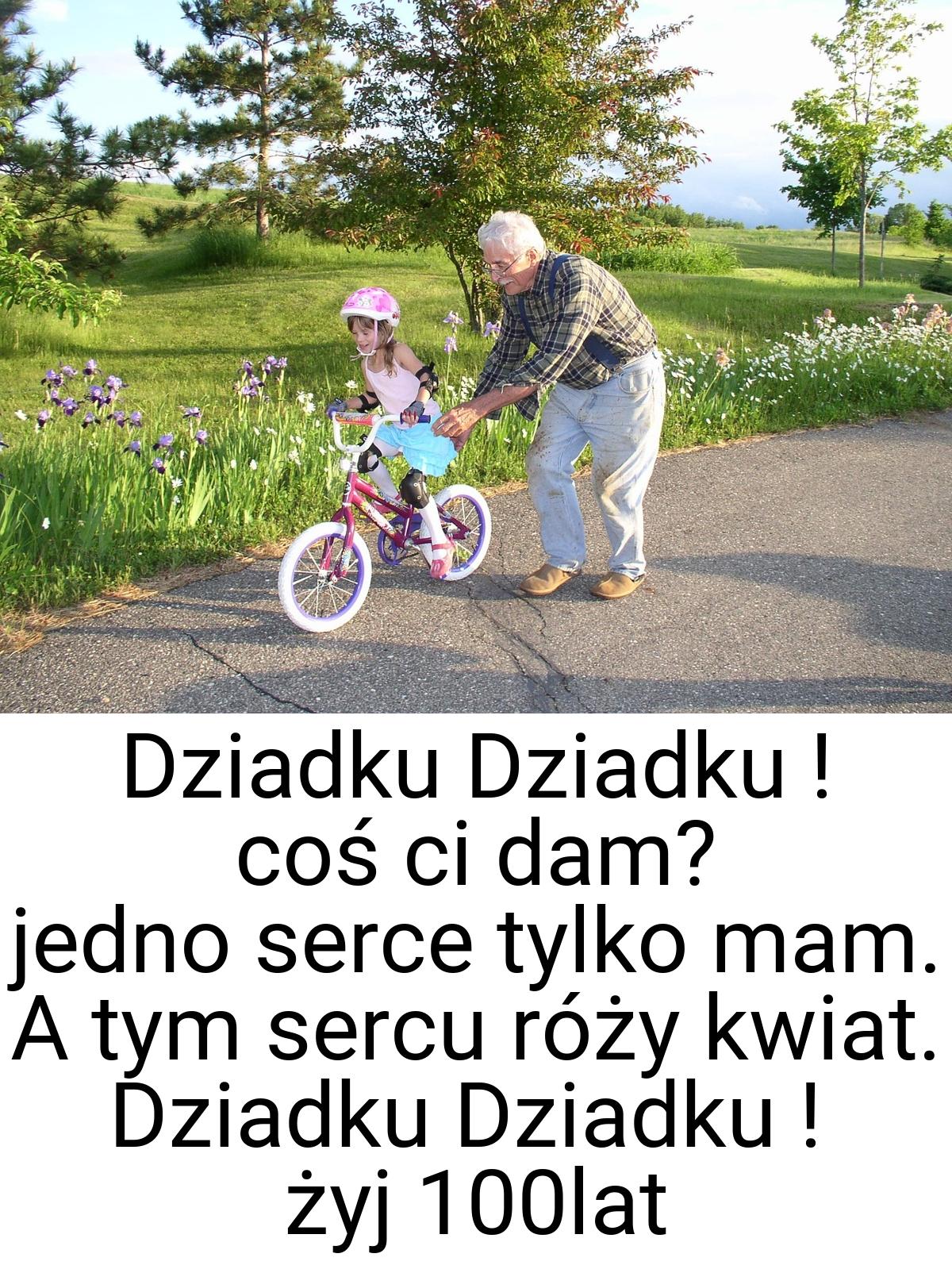 Dziadku Dziadku ! coś ci dam? jedno serce tylko mam. A tym