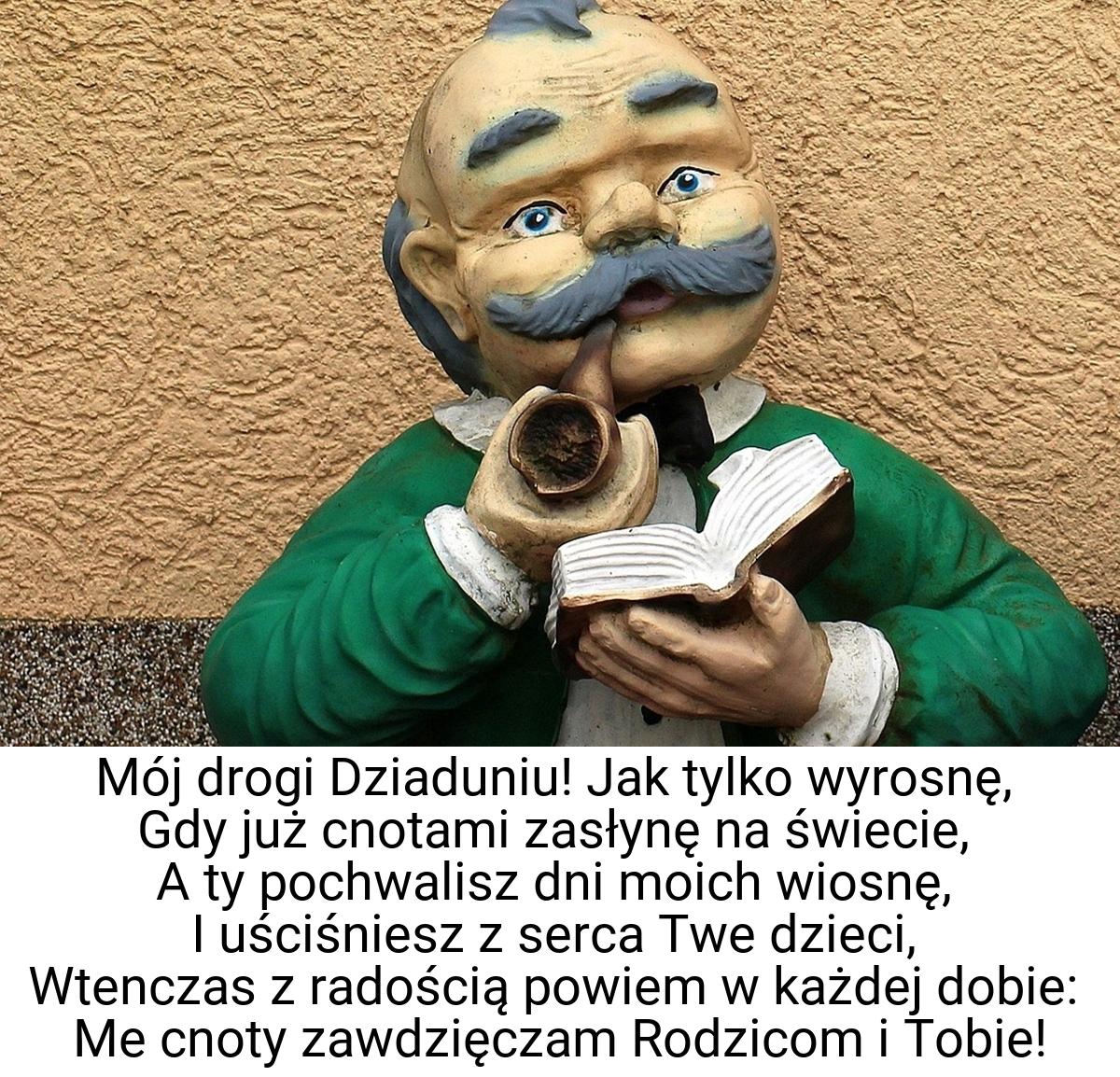 Mój drogi Dziaduniu! Jak tylko wyrosnę, Gdy już cnotami