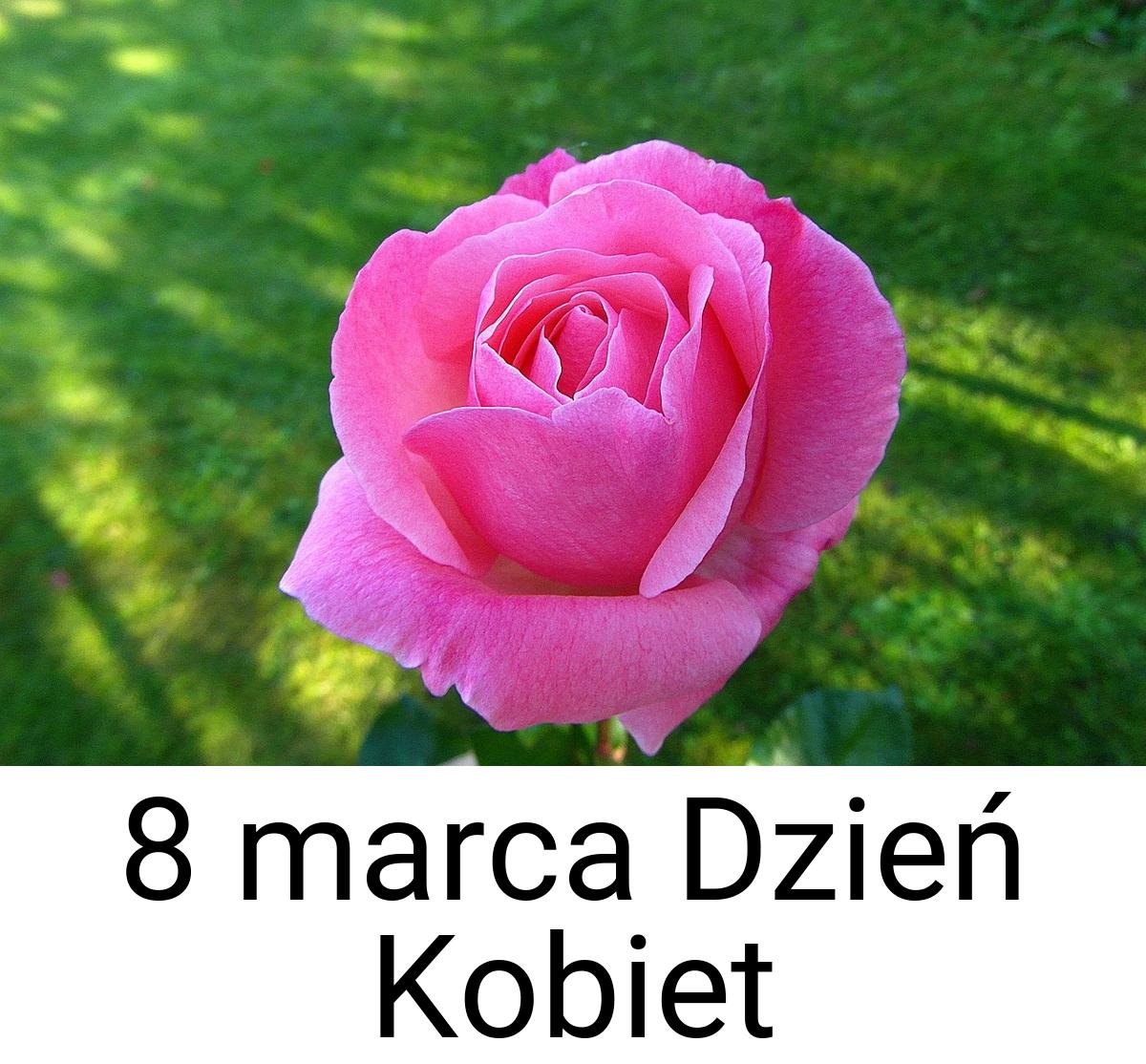 8 marca Dzień Kobiet