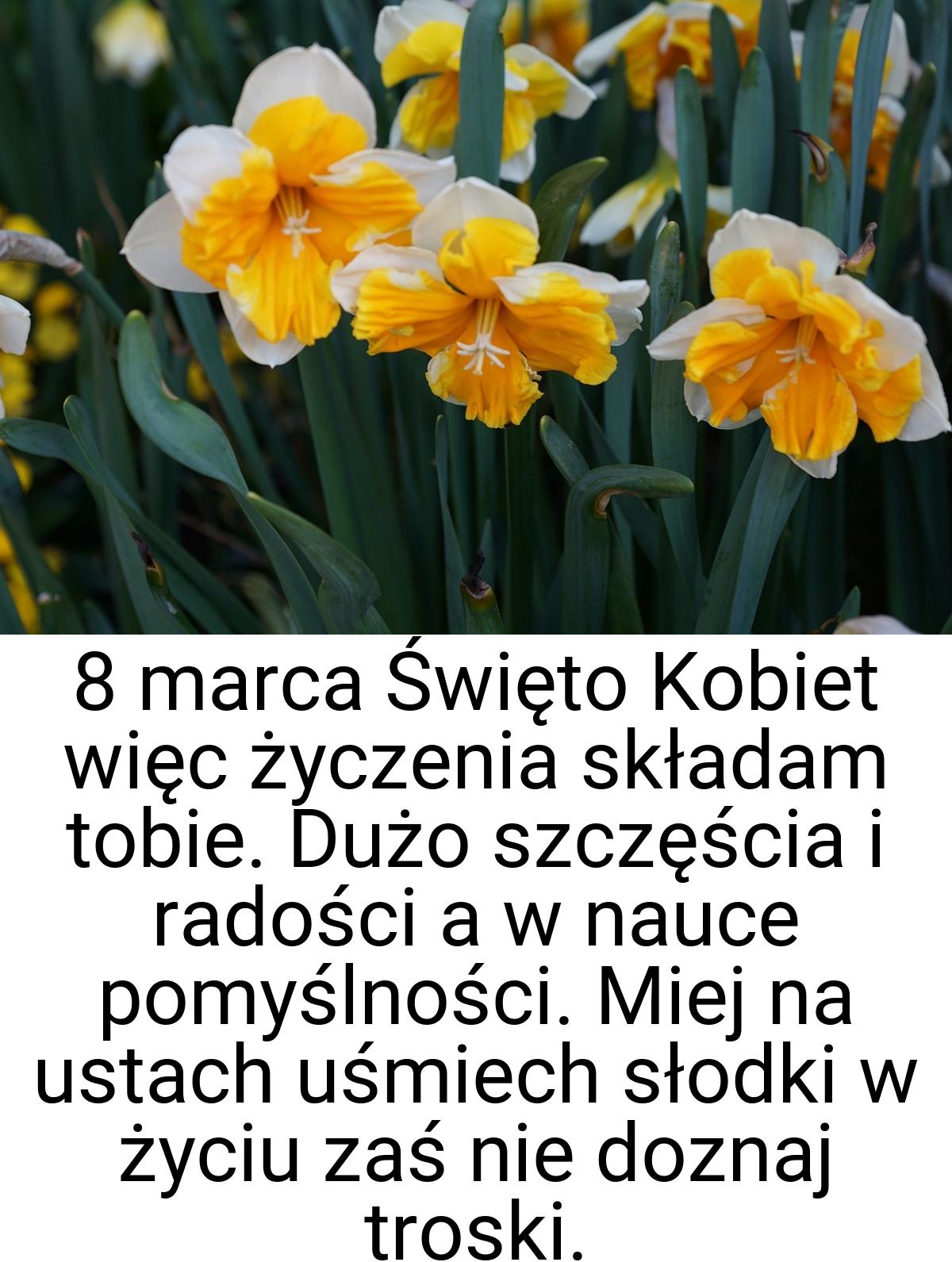 8 marca Święto Kobiet więc życzenia składam tobie. Dużo