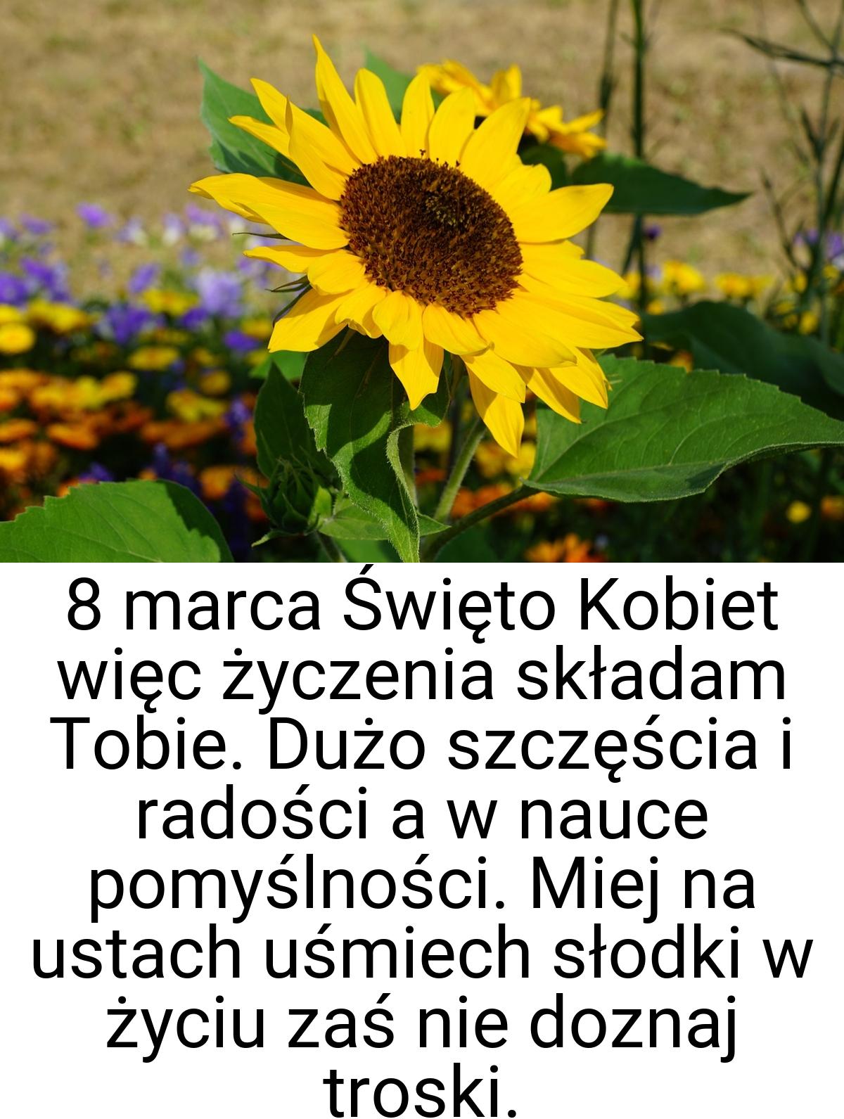 8 marca Święto Kobiet więc życzenia składam Tobie. Dużo