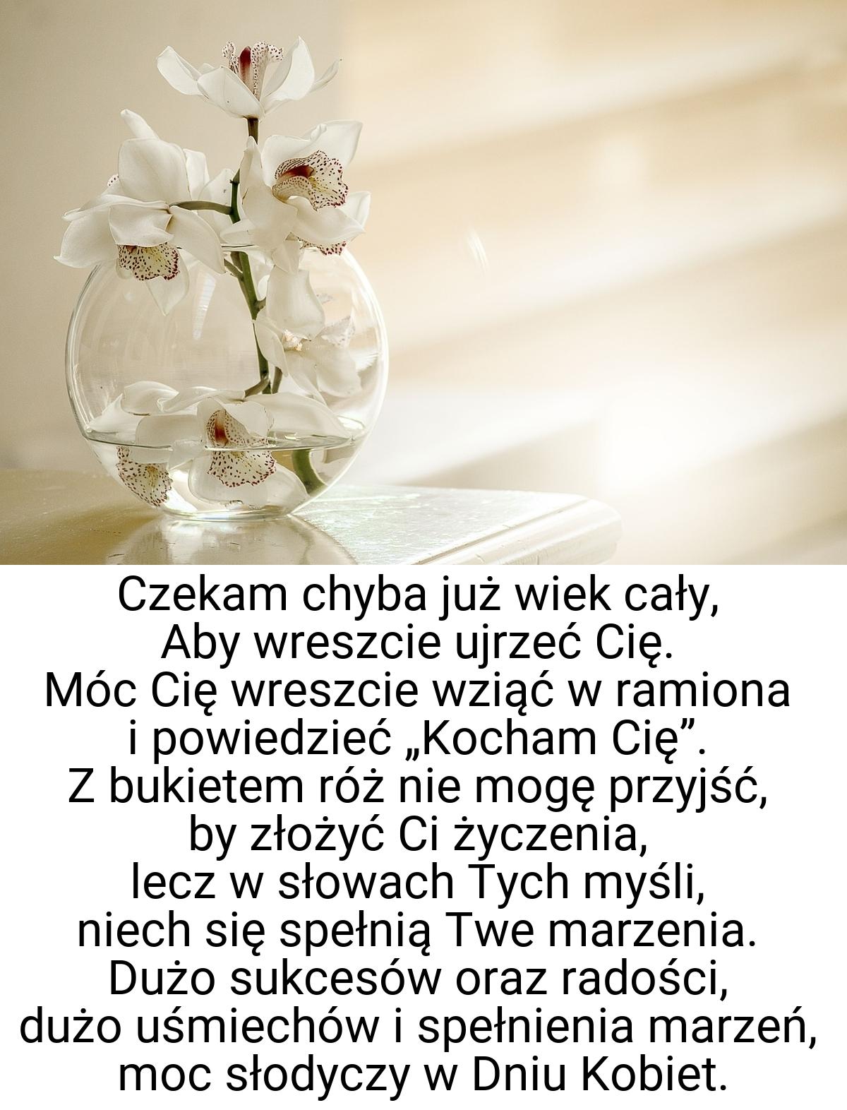 Czekam chyba już wiek cały, Aby wreszcie ujrzeć Cię. Móc