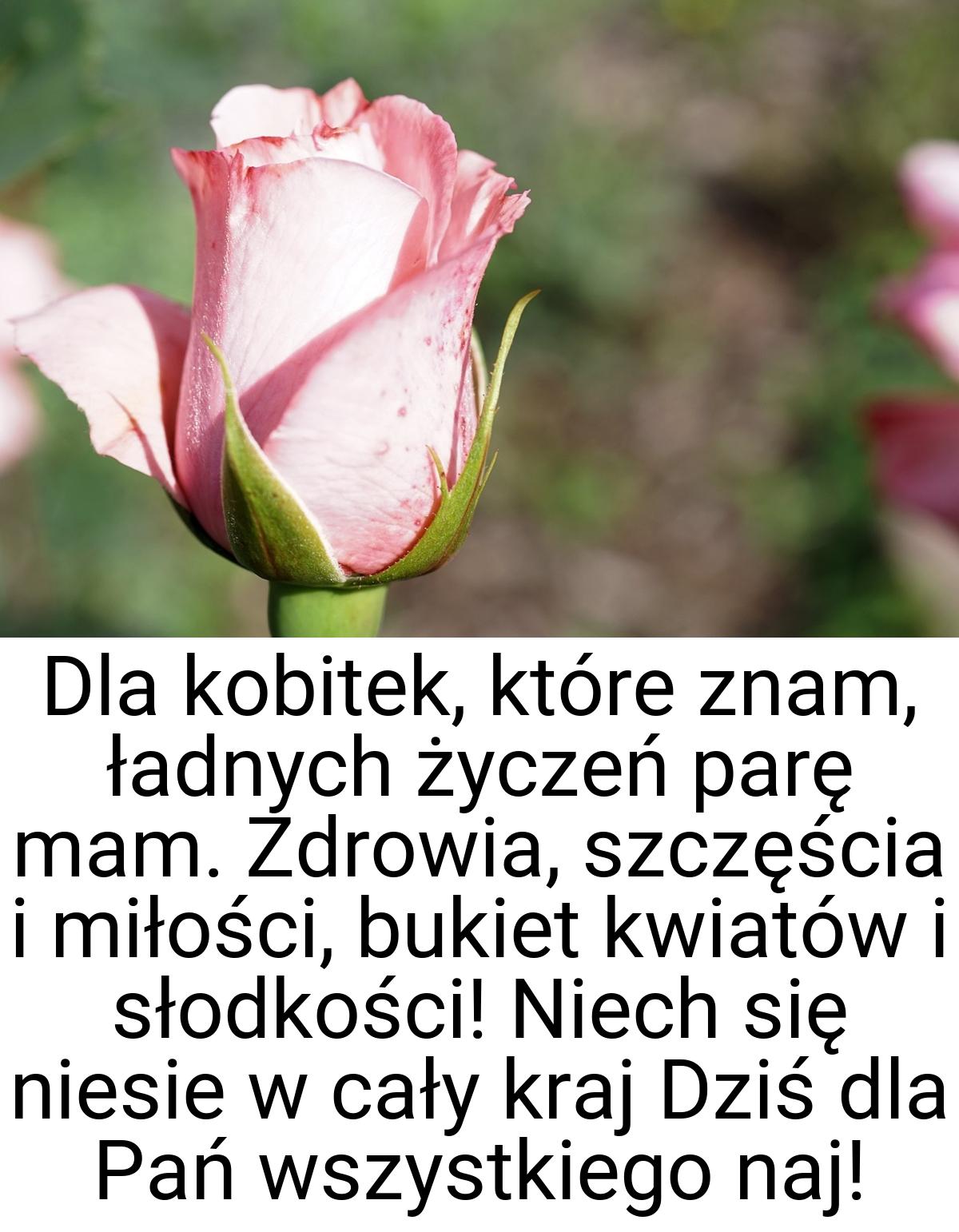 Dla kobitek, które znam, ładnych życzeń parę mam. Zdrowia