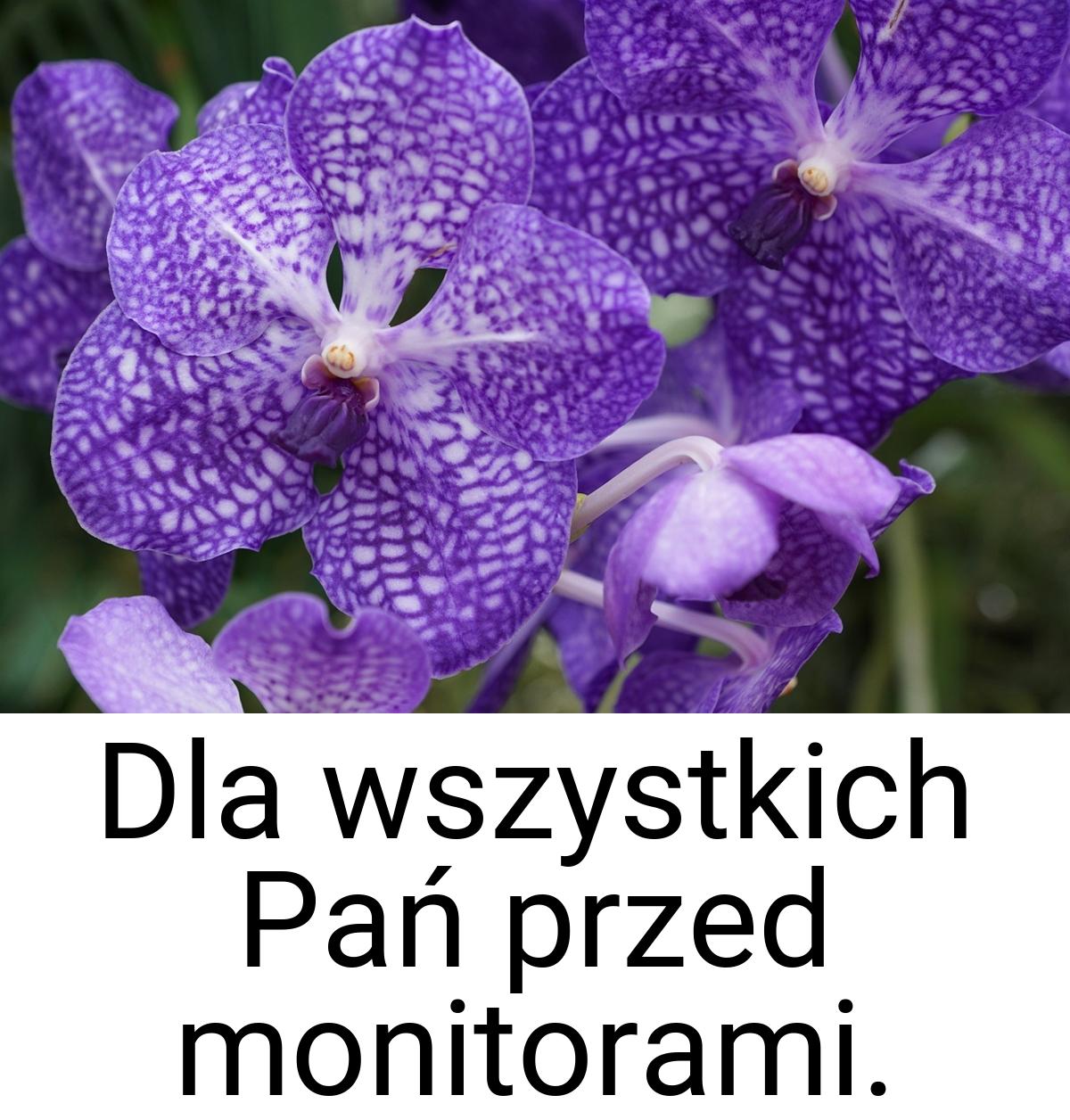 Dla wszystkich Pań przed monitorami