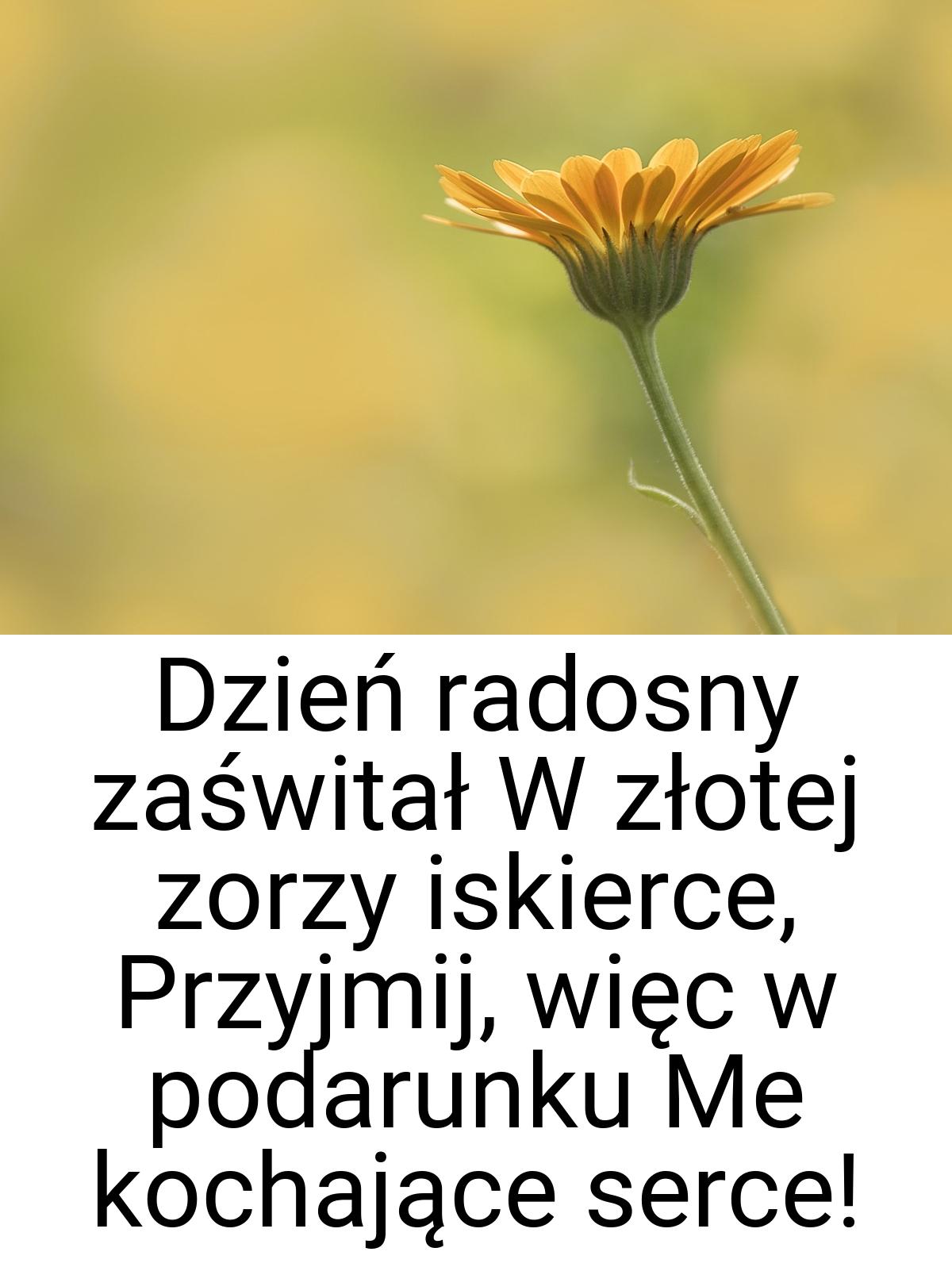 Dzień radosny zaświtał W złotej zorzy iskierce, Przyjmij