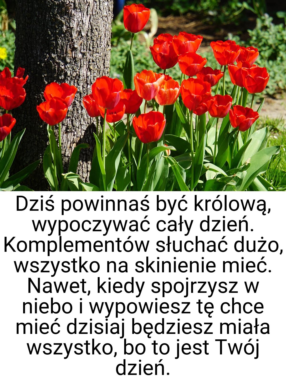 Dziś powinnaś być królową, wypoczywać cały dzień