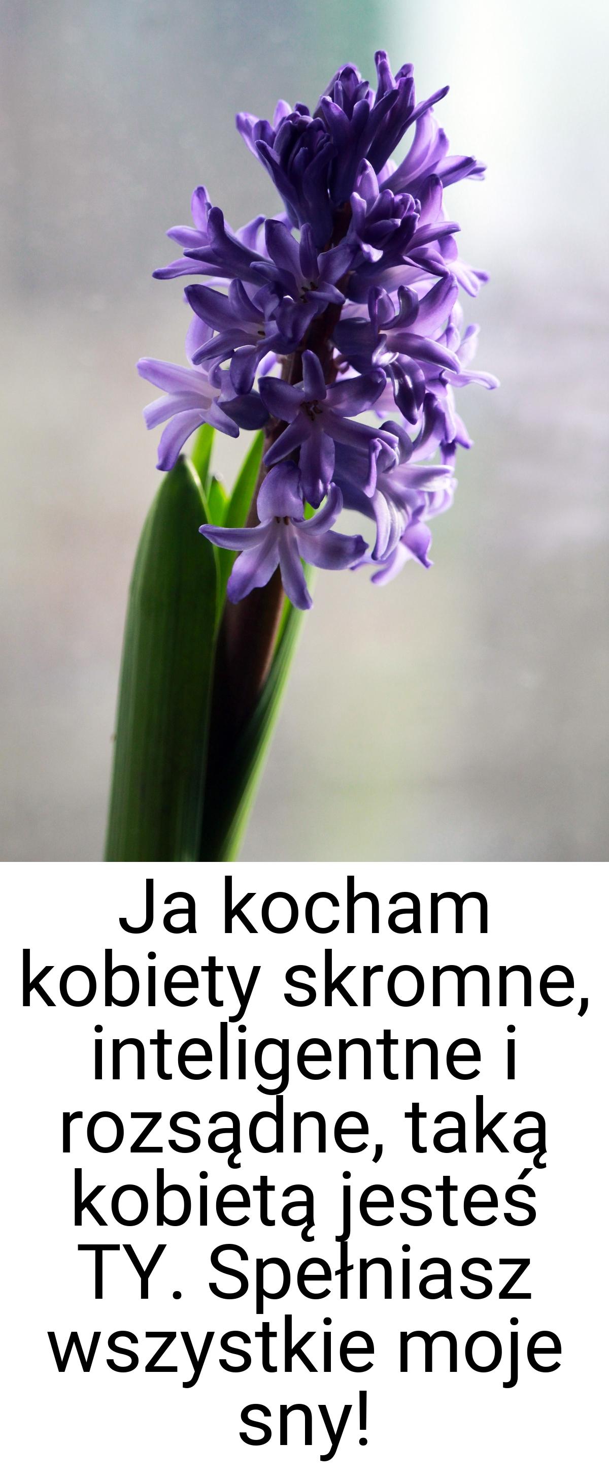 Ja kocham kobiety skromne, inteligentne i rozsądne, taką