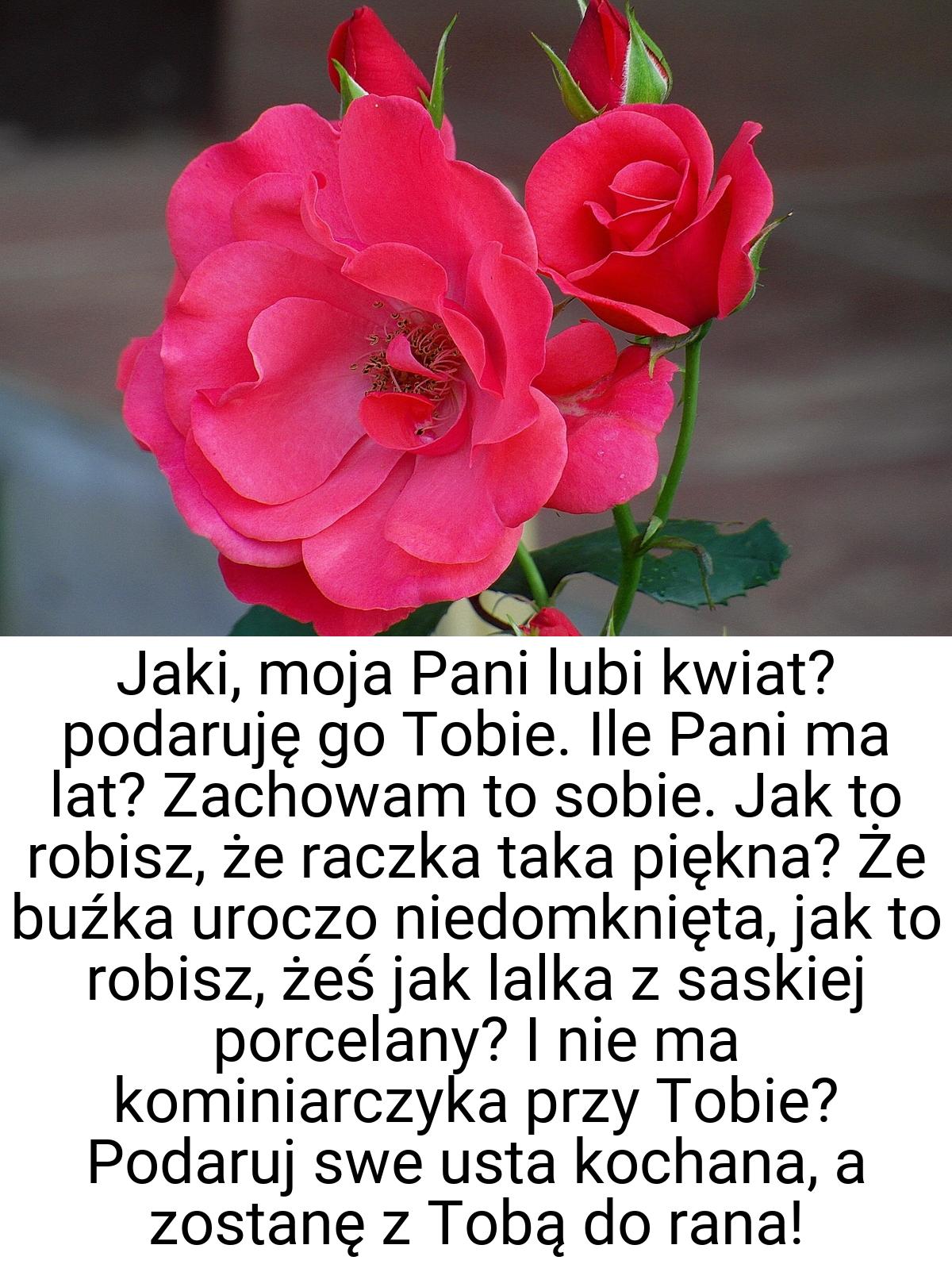 Jaki, moja Pani lubi kwiat? podaruję go Tobie. Ile Pani ma