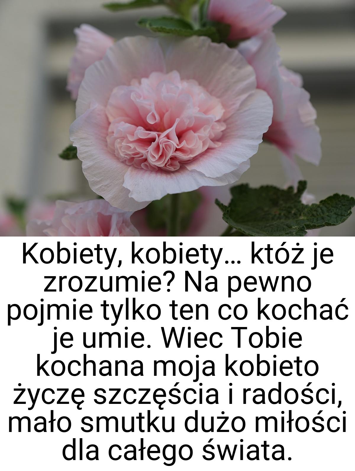 Kobiety, kobiety… któż je zrozumie? Na pewno pojmie tylko