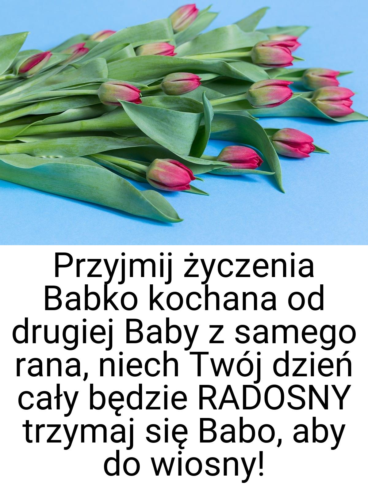 Przyjmij życzenia Babko kochana od drugiej Baby z samego