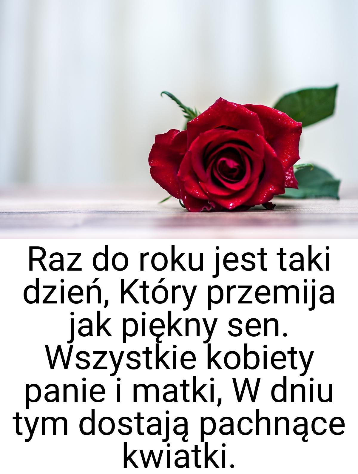 Raz do roku jest taki dzień, Który przemija jak piękny sen