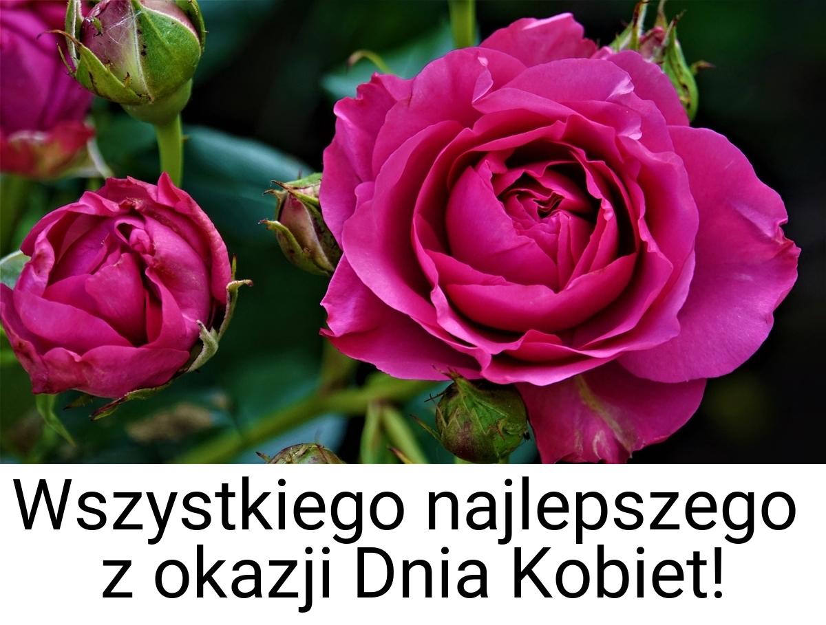 Wszystkiego najlepszego z okazji Dnia Kobiet