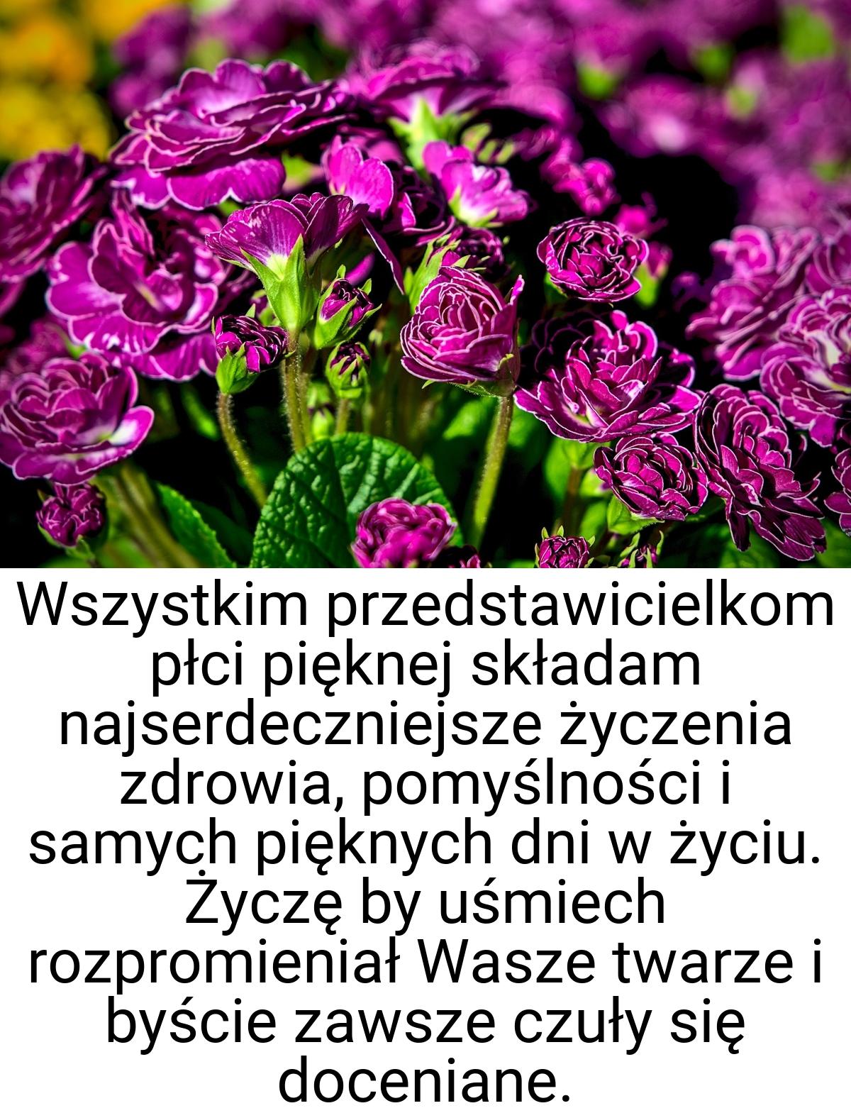 Wszystkim przedstawicielkom płci pięknej składam