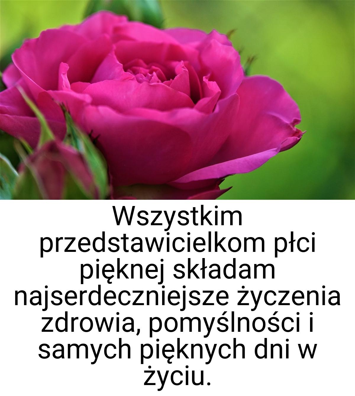 Wszystkim przedstawicielkom płci pięknej składam