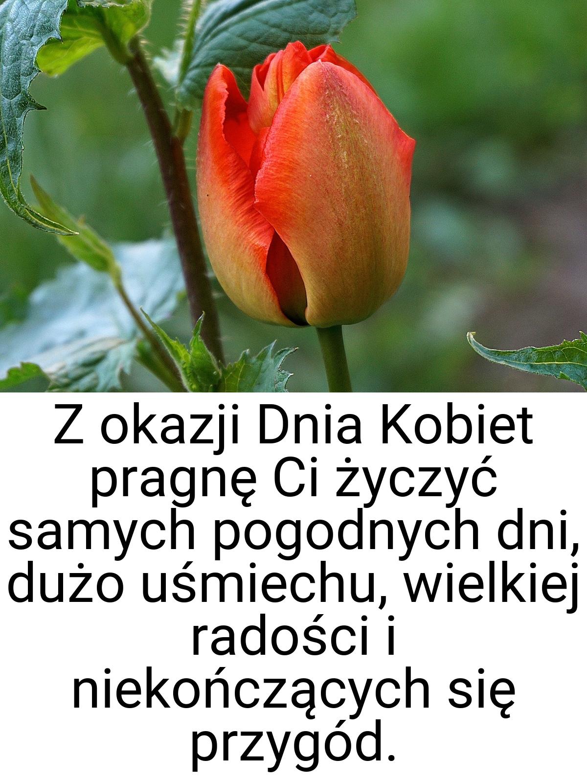 Z okazji Dnia Kobiet pragnę Ci życzyć samych pogodnych dni