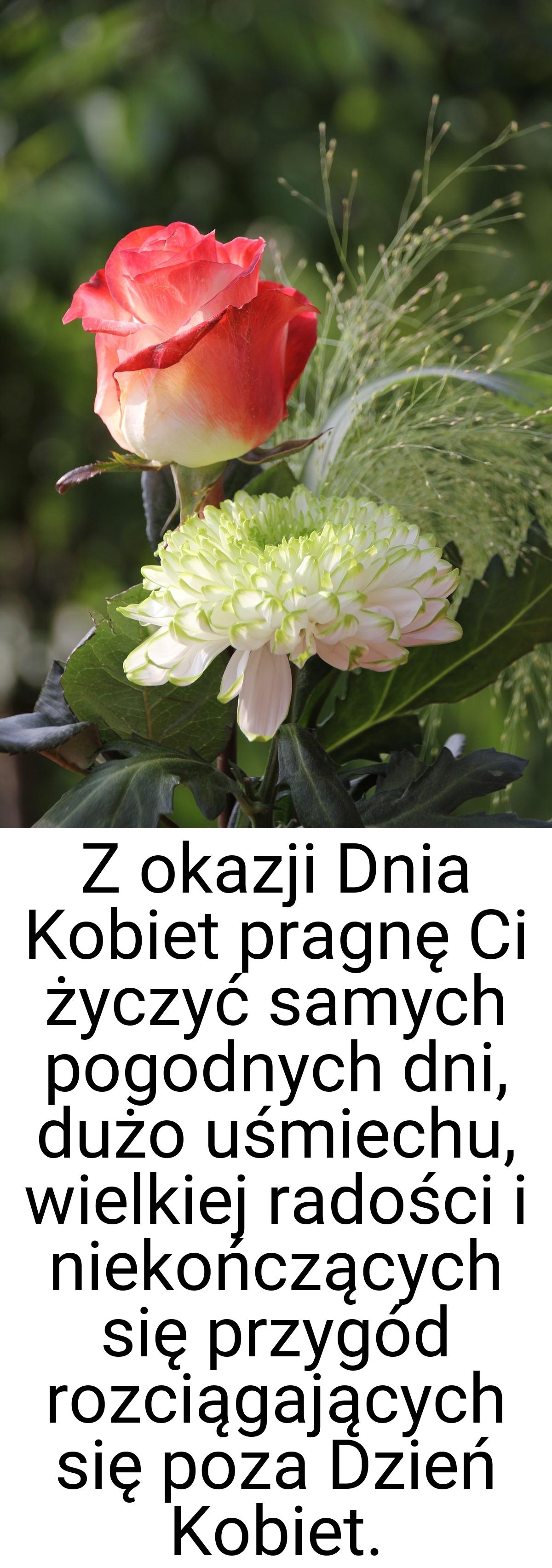 Z okazji Dnia Kobiet pragnę Ci życzyć samych pogodnych dni