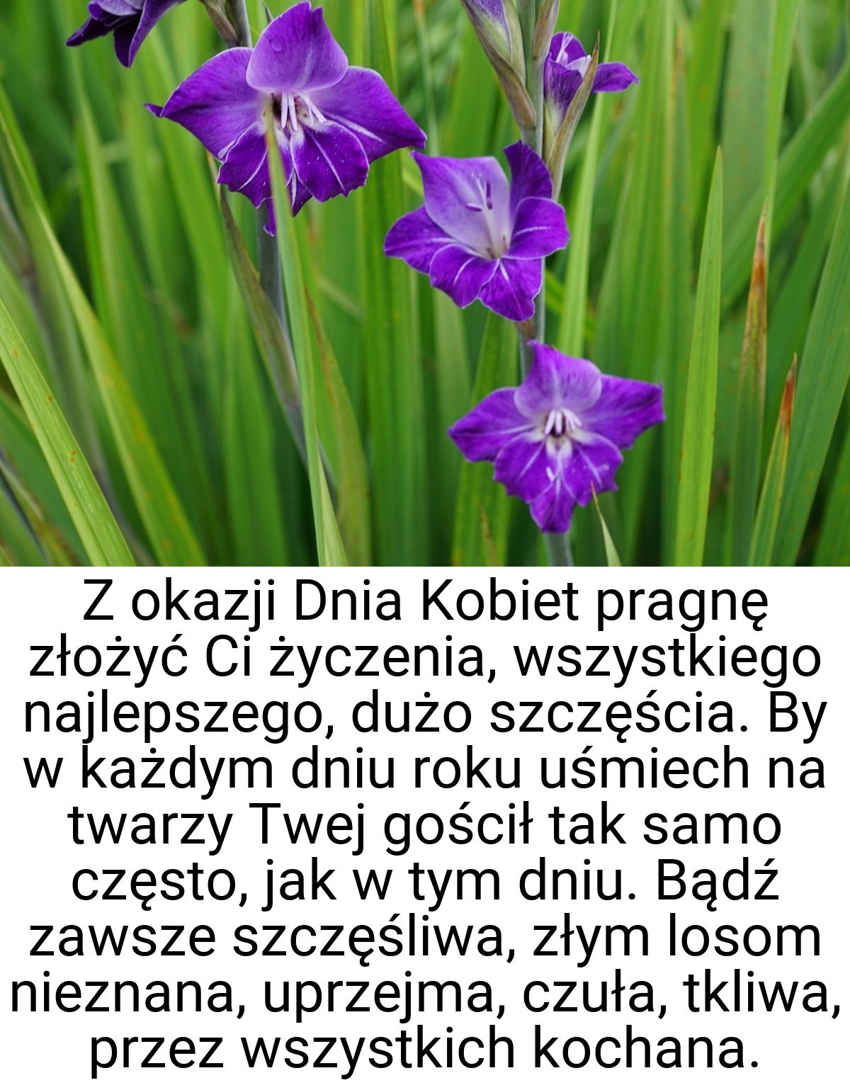 Z okazji Dnia Kobiet pragnę złożyć Ci życzenia, wszystkiego