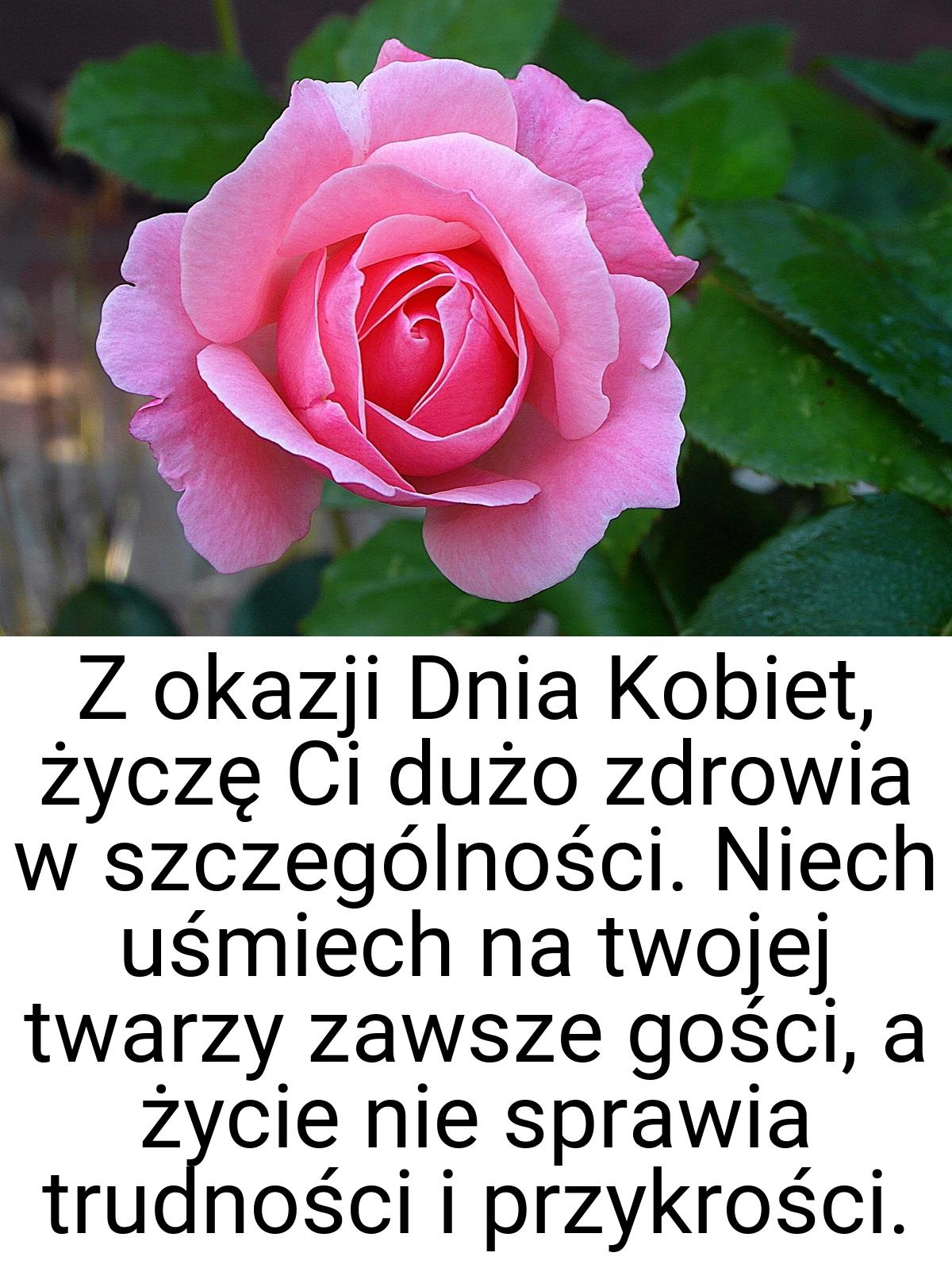 Z okazji Dnia Kobiet, życzę Ci dużo zdrowia w