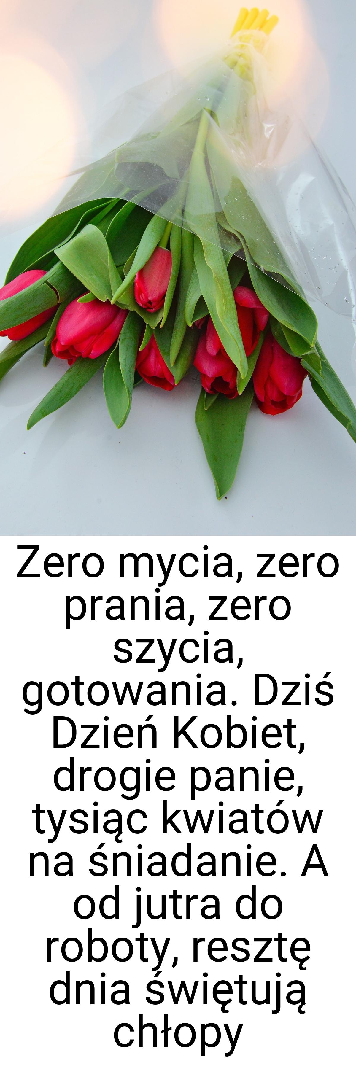 Zero mycia, zero prania, zero szycia, gotowania. Dziś Dzień