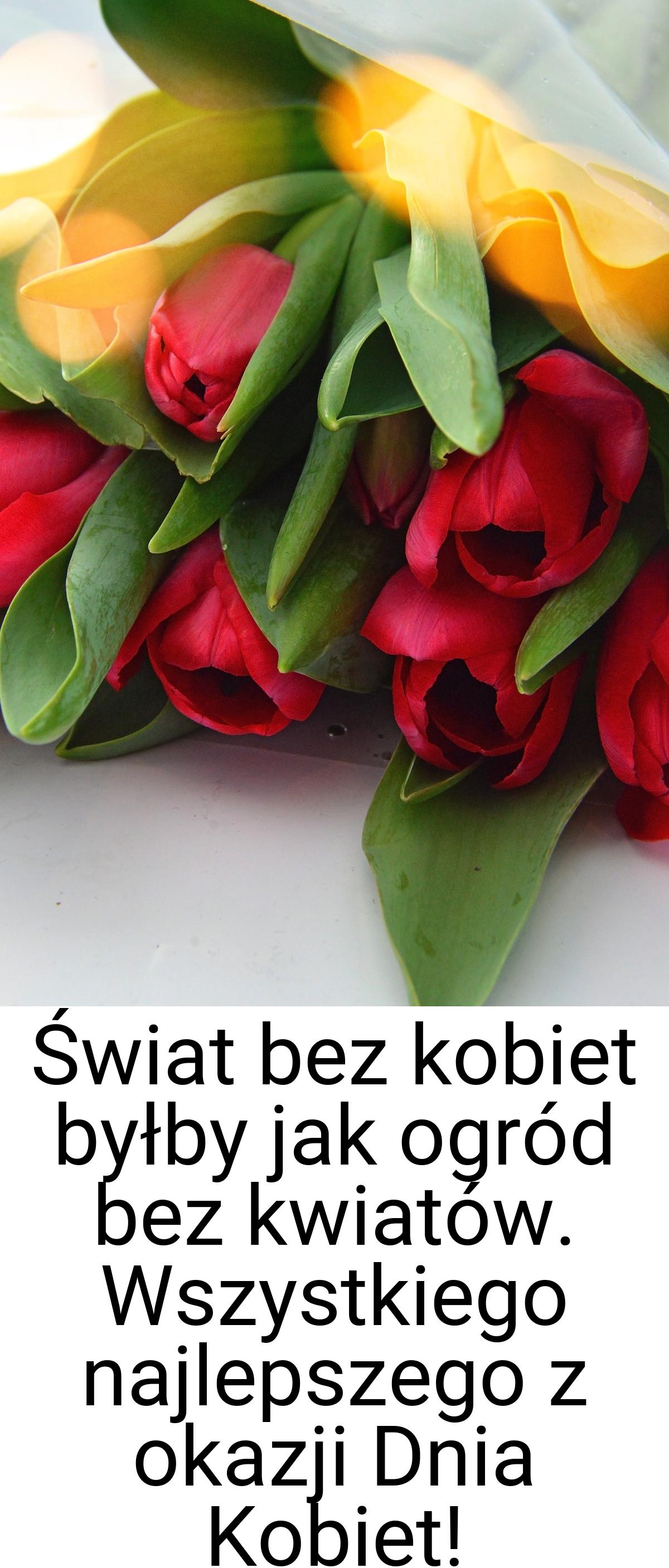 Świat bez kobiet byłby jak ogród bez kwiatów. Wszystkiego