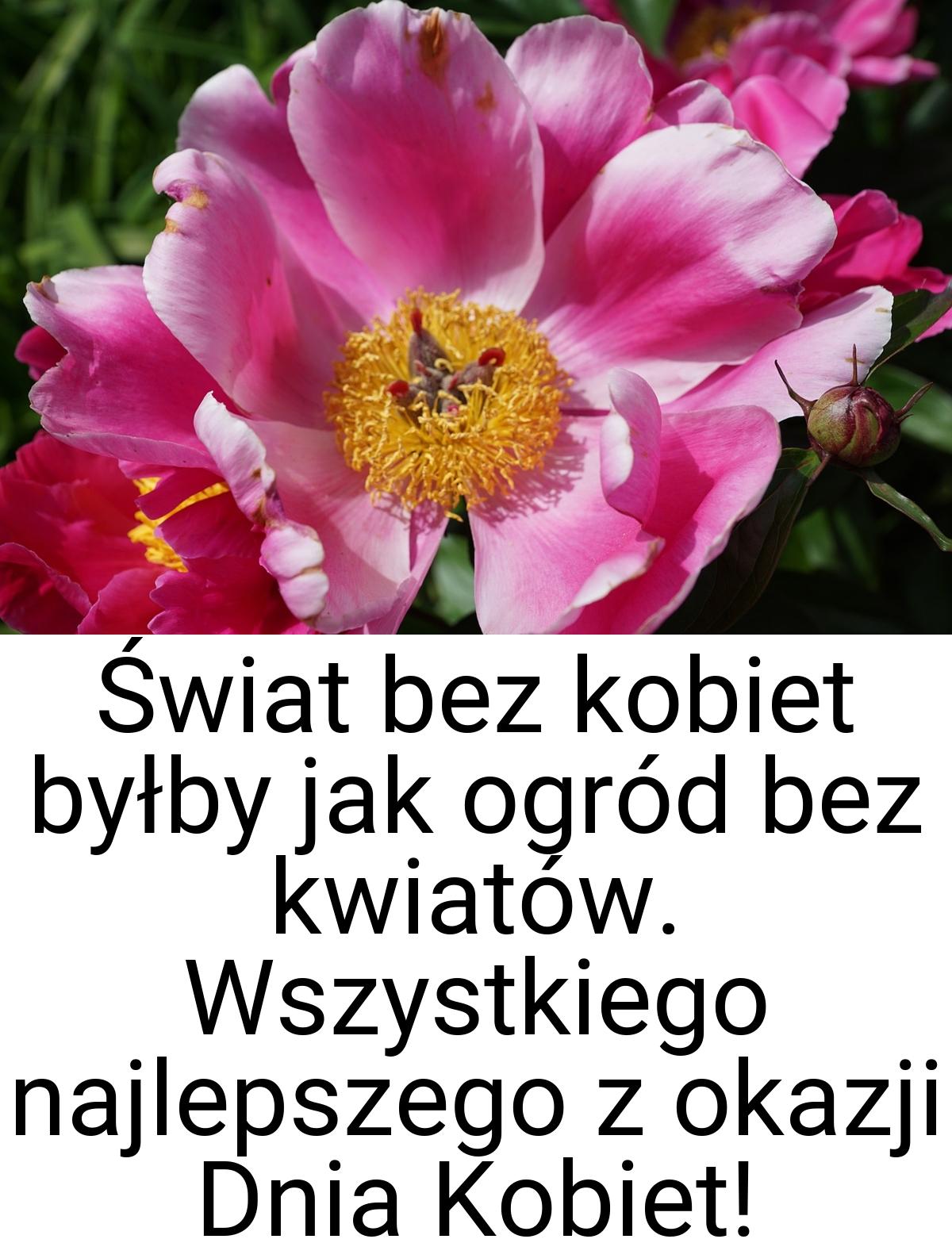 Świat bez kobiet byłby jak ogród bez kwiatów. Wszystkiego