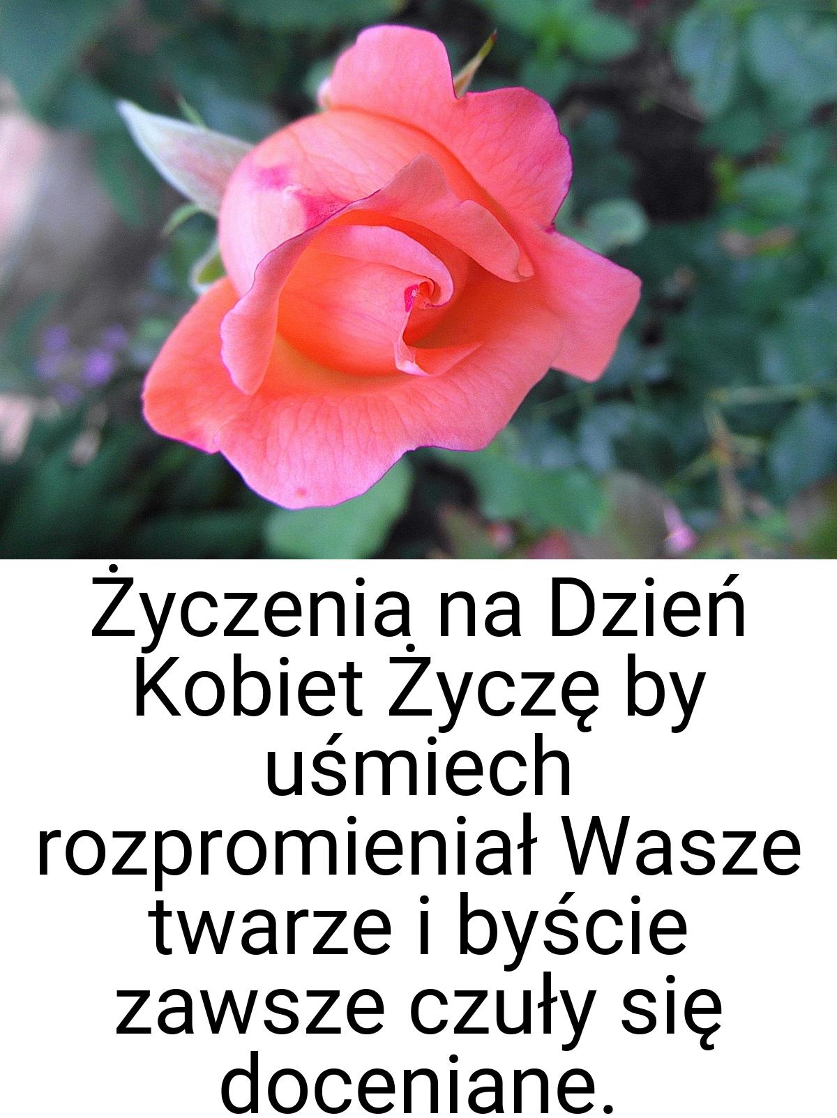 Życzenia na Dzień Kobiet Życzę by uśmiech rozpromieniał