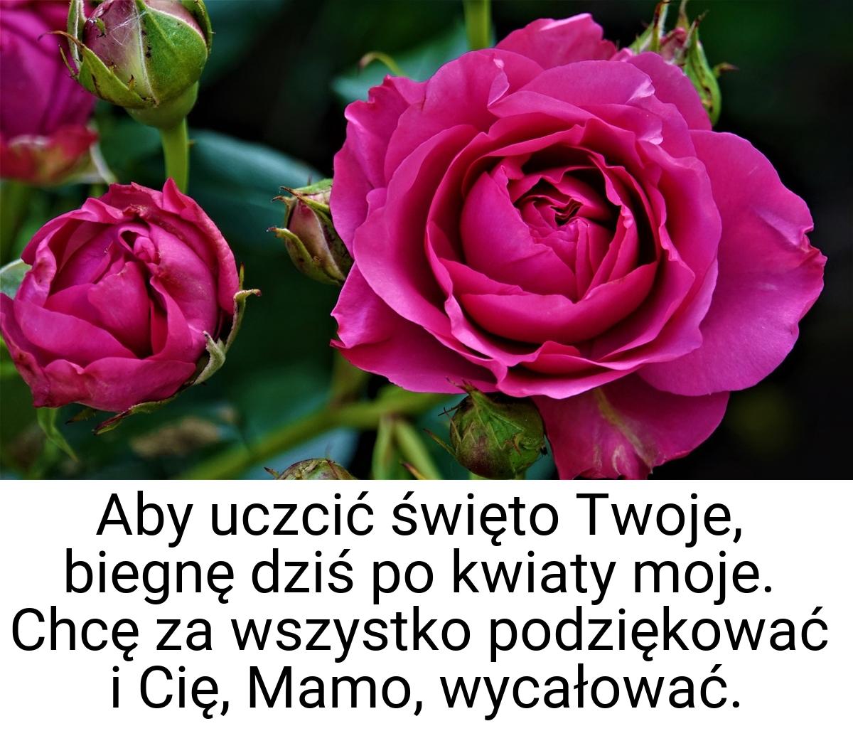 Aby uczcić święto Twoje, biegnę dziś po kwiaty moje. Chcę