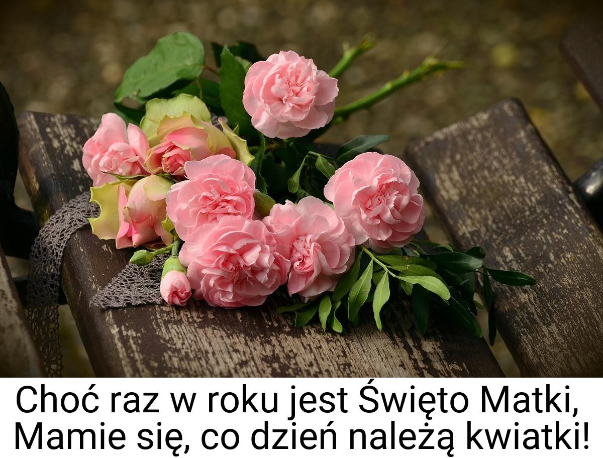 Choć raz w roku jest Święto Matki, Mamie się, co dzień