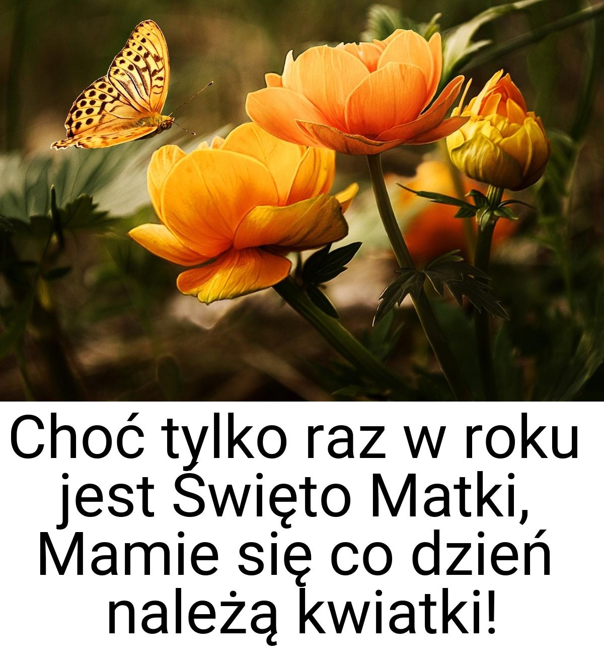 Choć tylko raz w roku jest Święto Matki, Mamie się co dzień