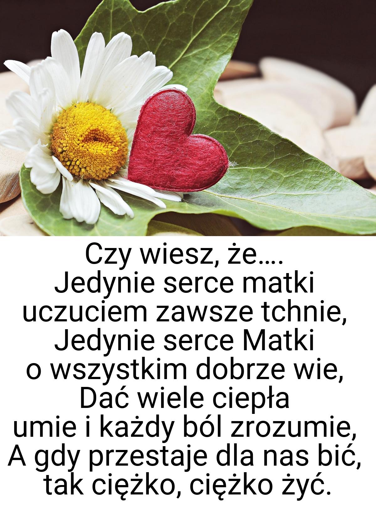 Czy wiesz, że…. Jedynie serce matki uczuciem zawsze tchnie